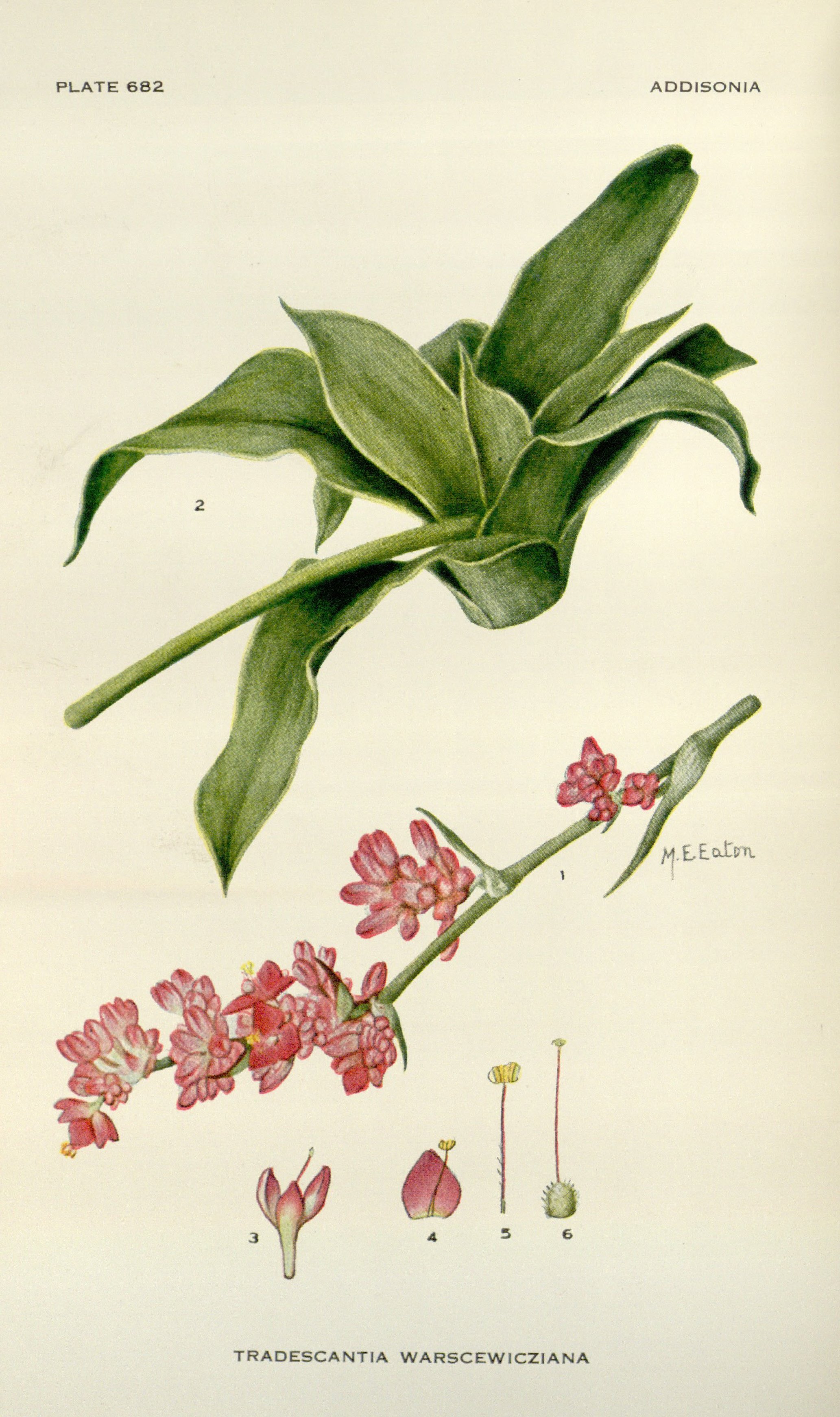 no full size  illustration available (3a)