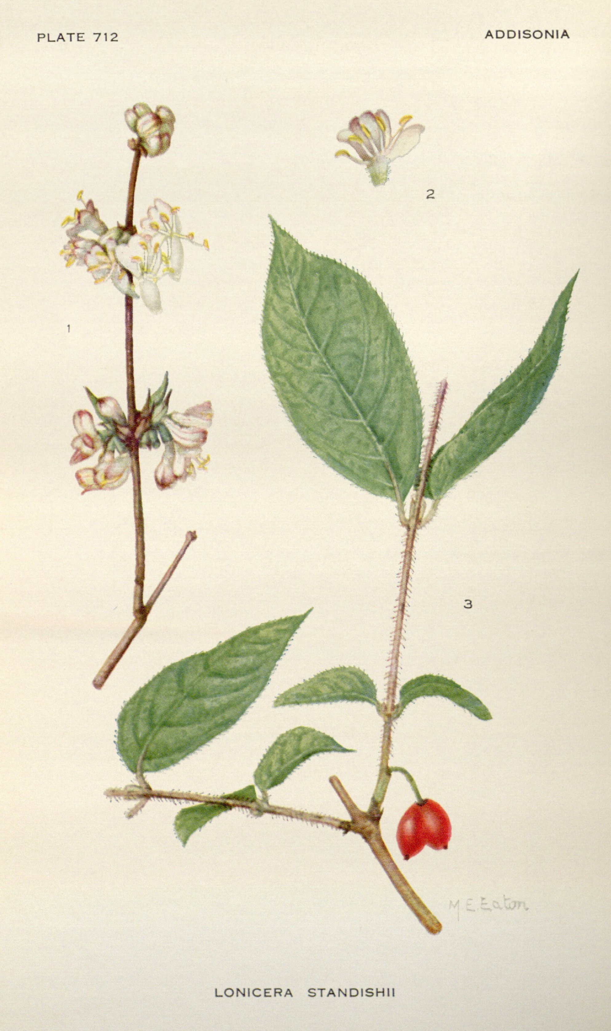 no full size  illustration available (3a)