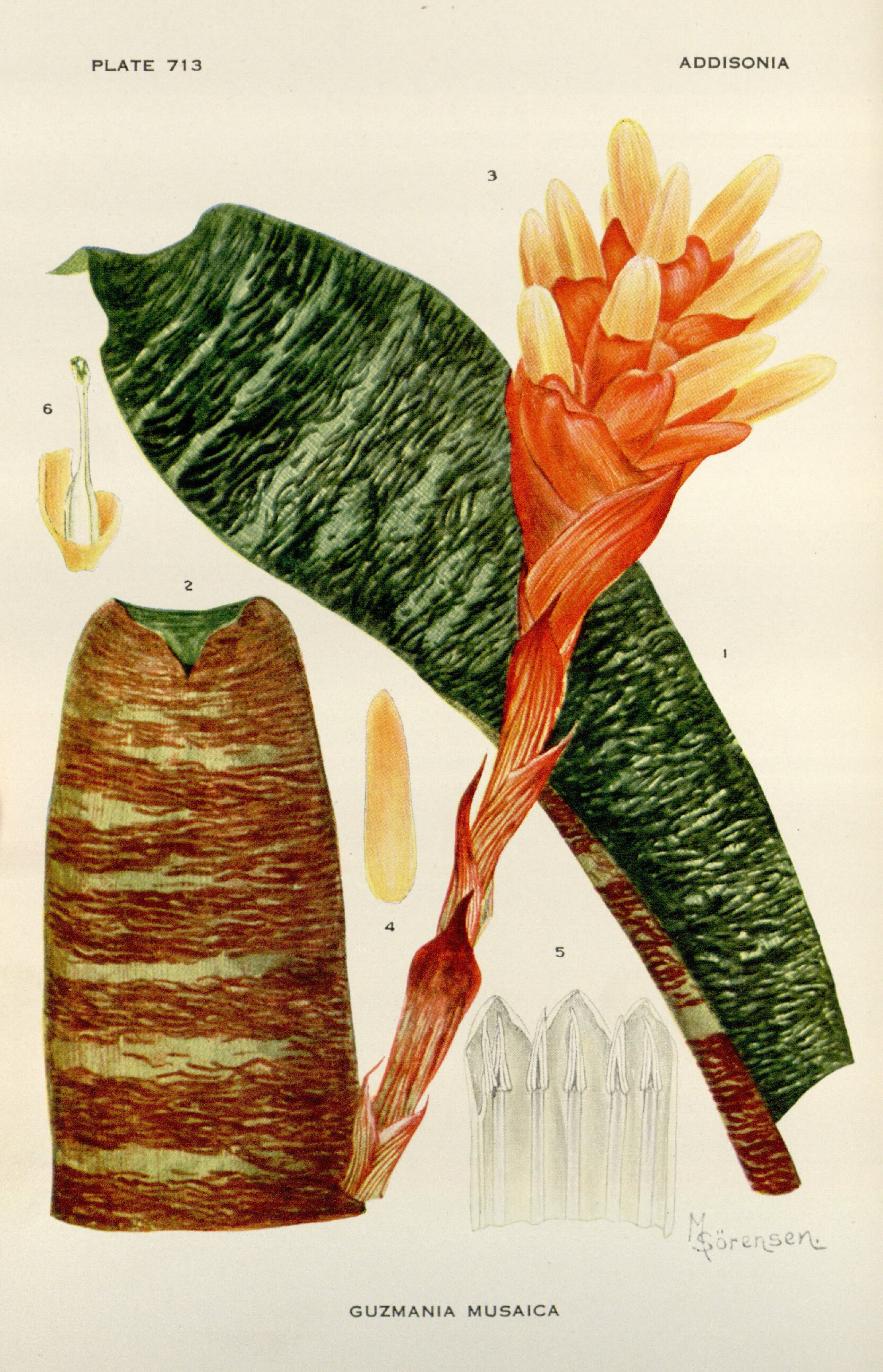 no full size  illustration available (3a)