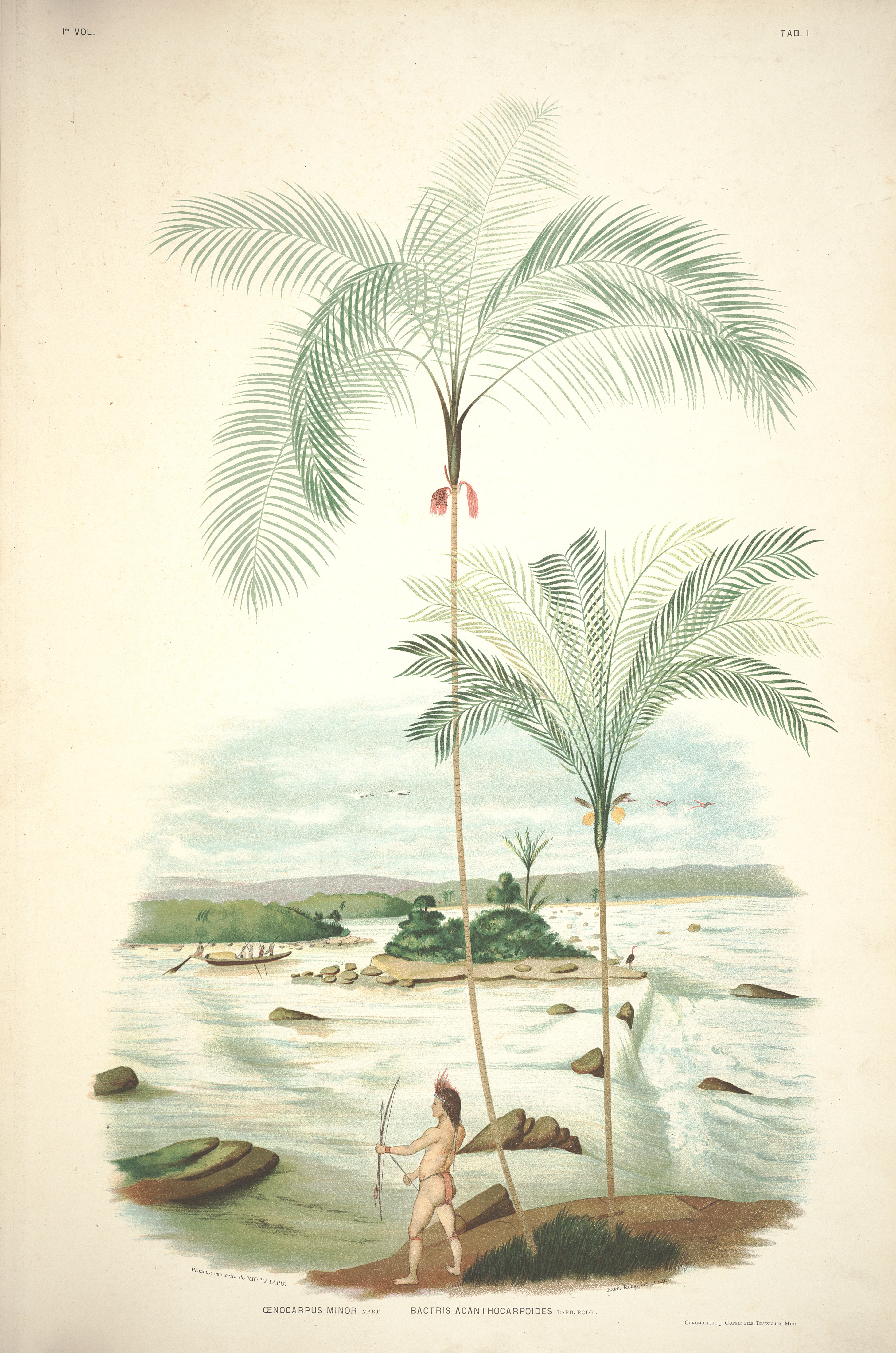 no full size  illustration available (3a)