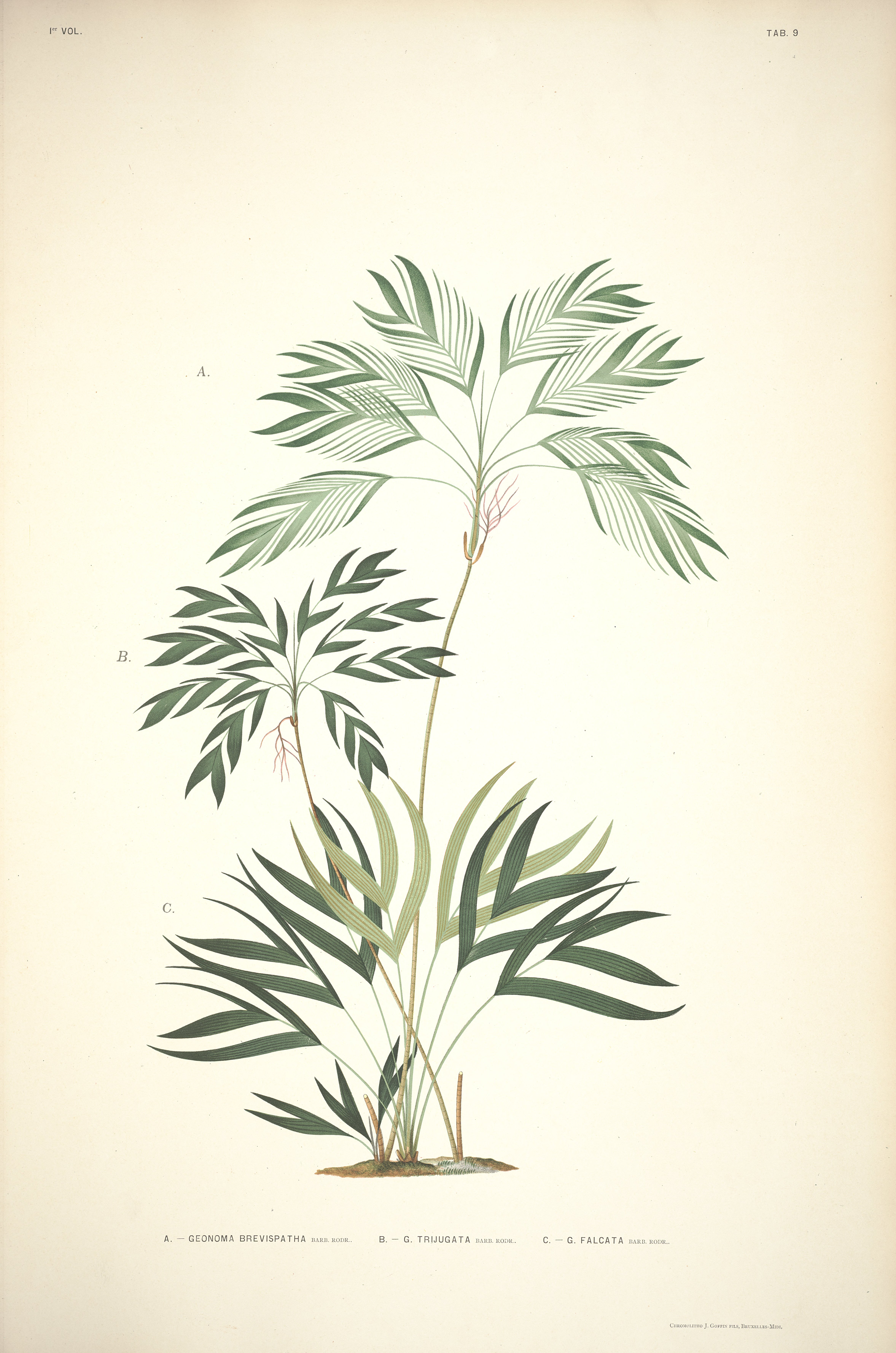 no full size  illustration available (3a)