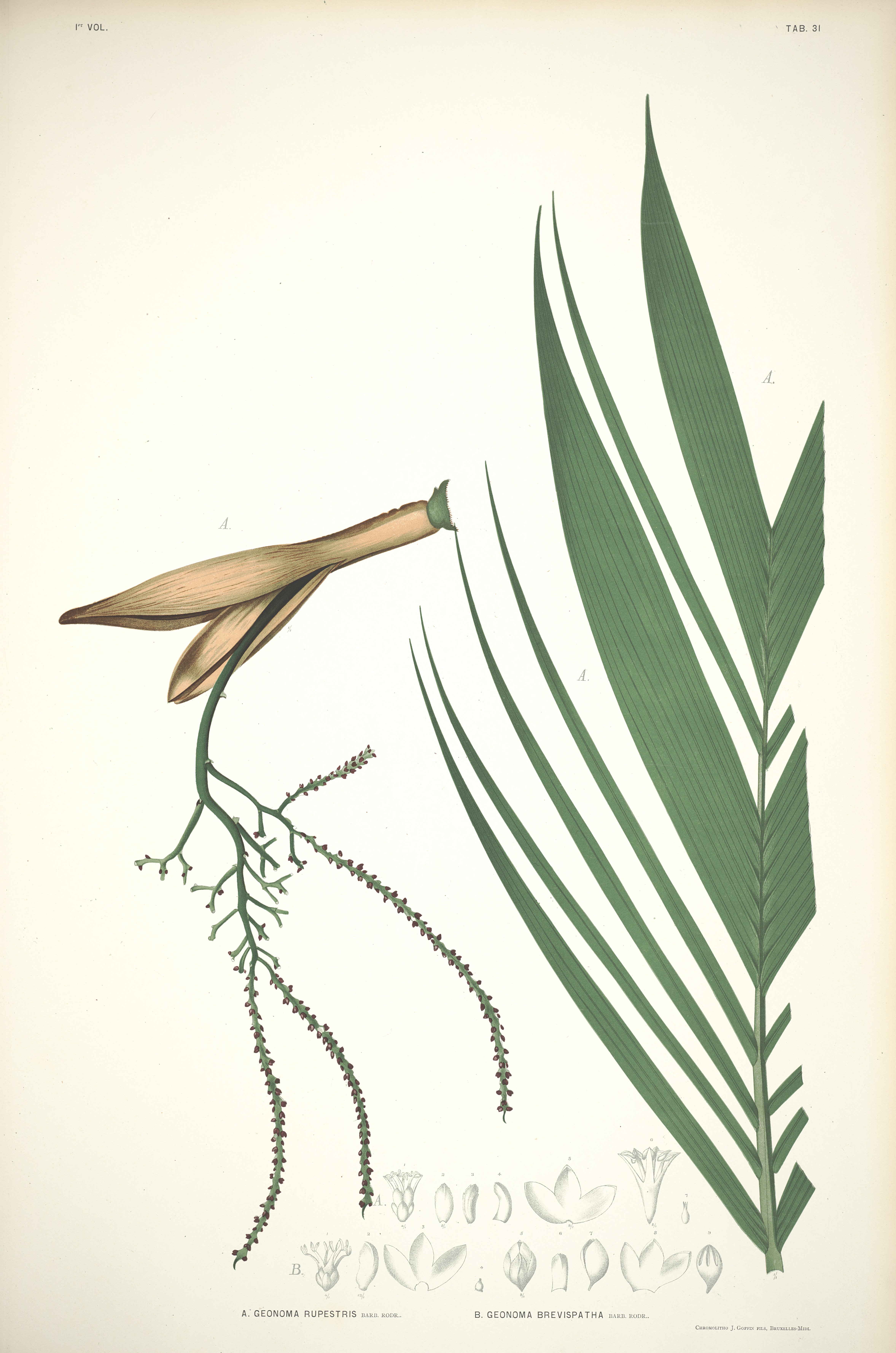 no full size  illustration available (3a)