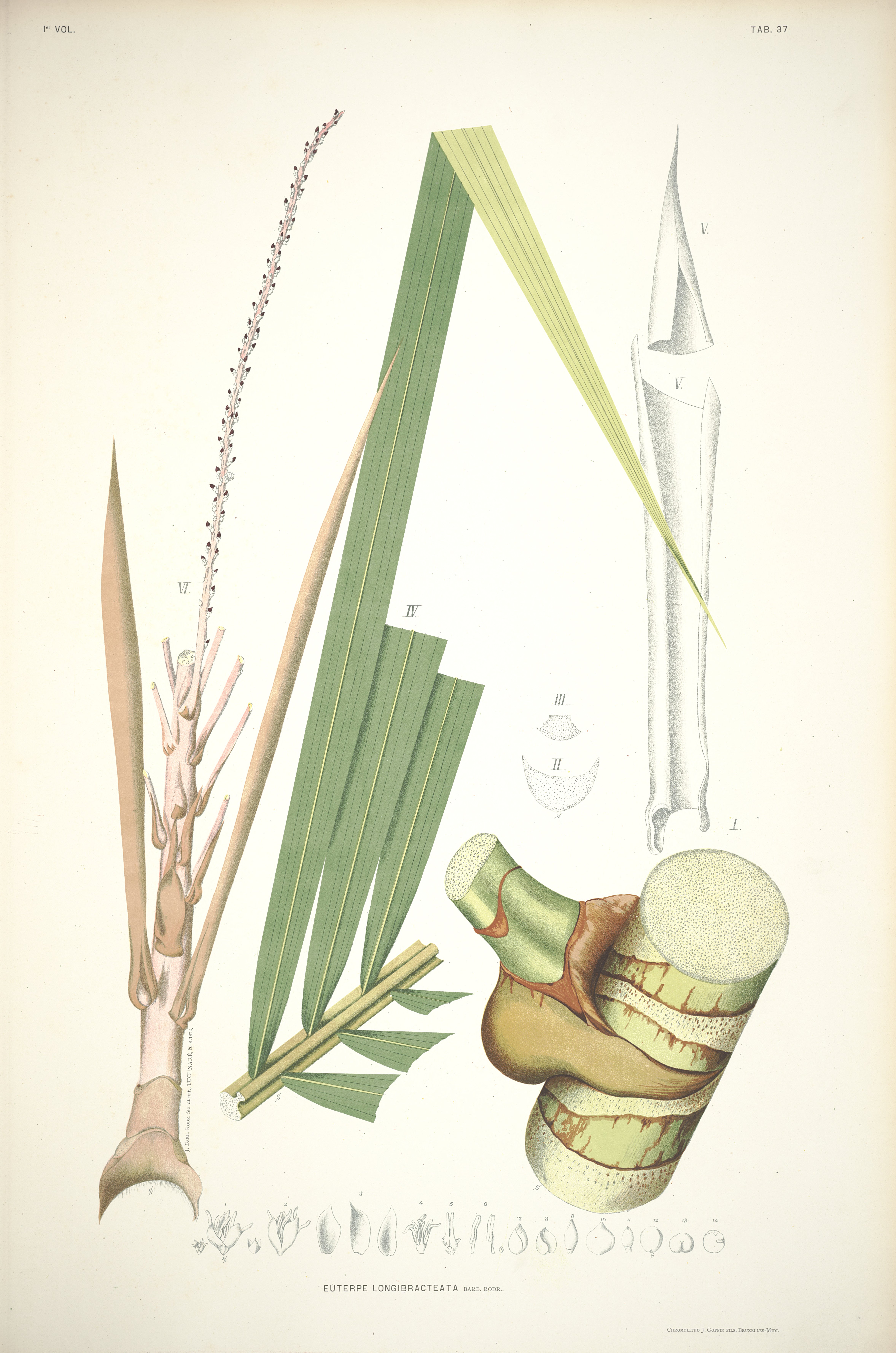 no full size  illustration available (3a)