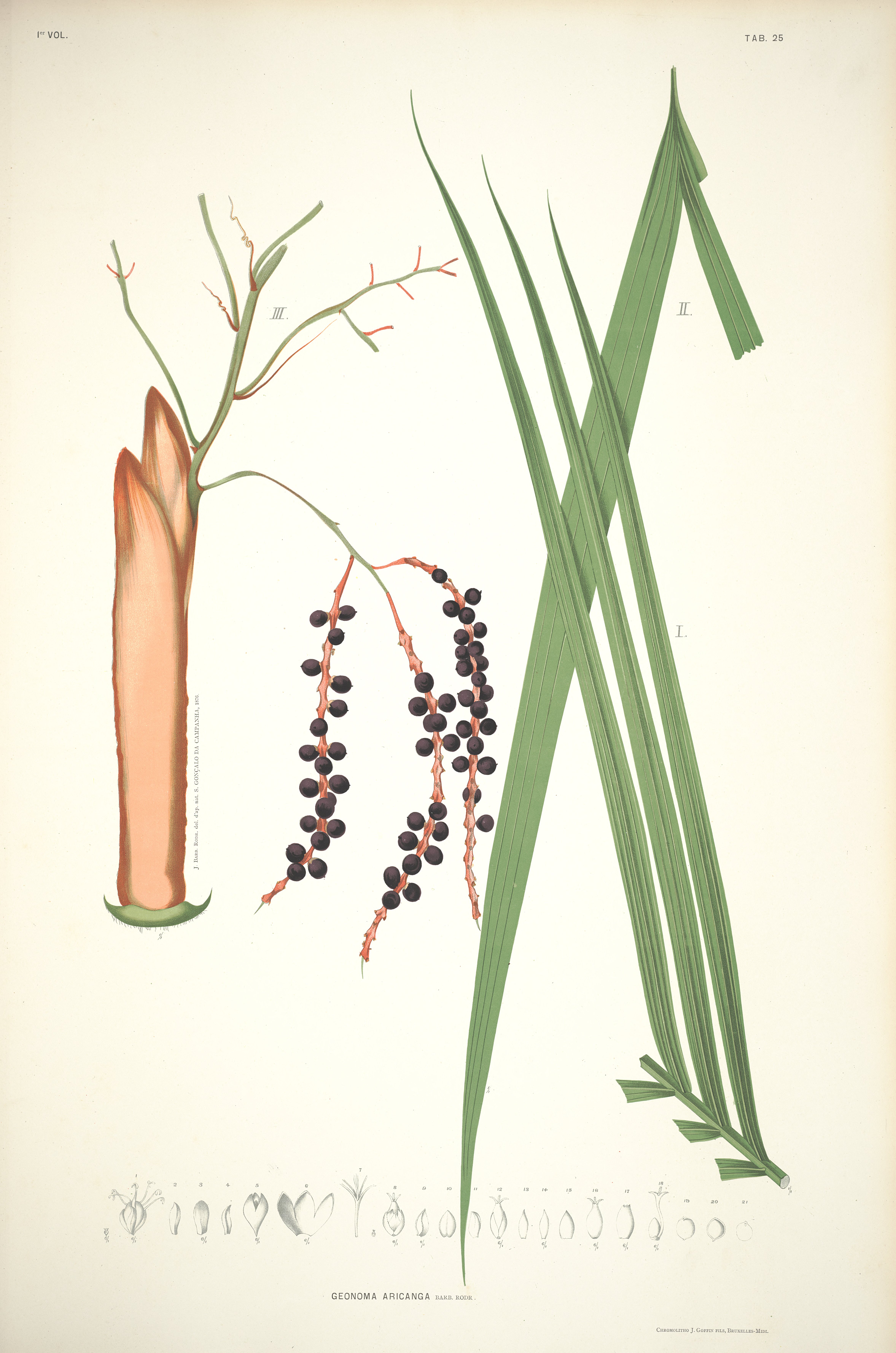 no full size  illustration available (3a)