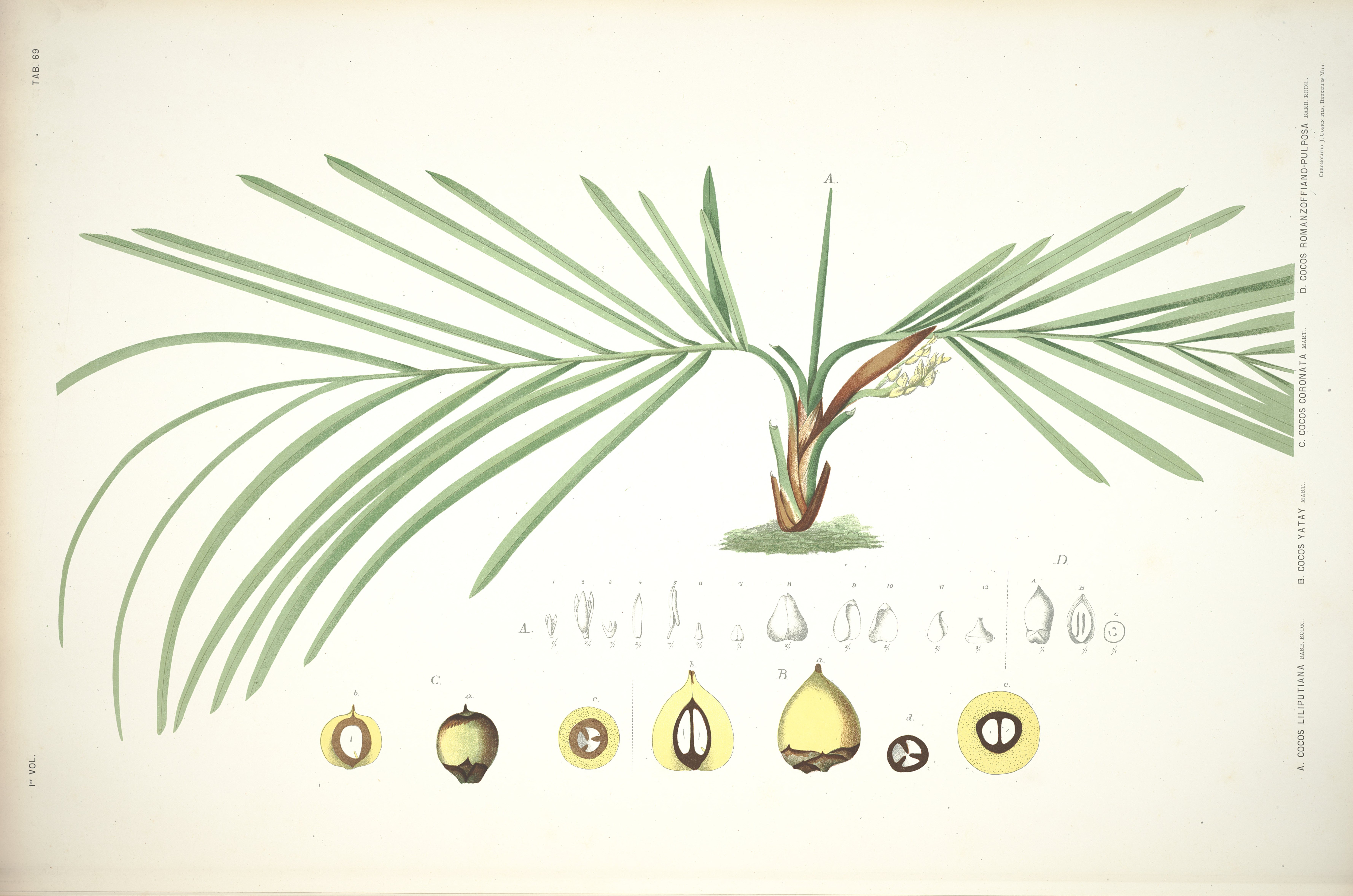 no full size  illustration available (3a)