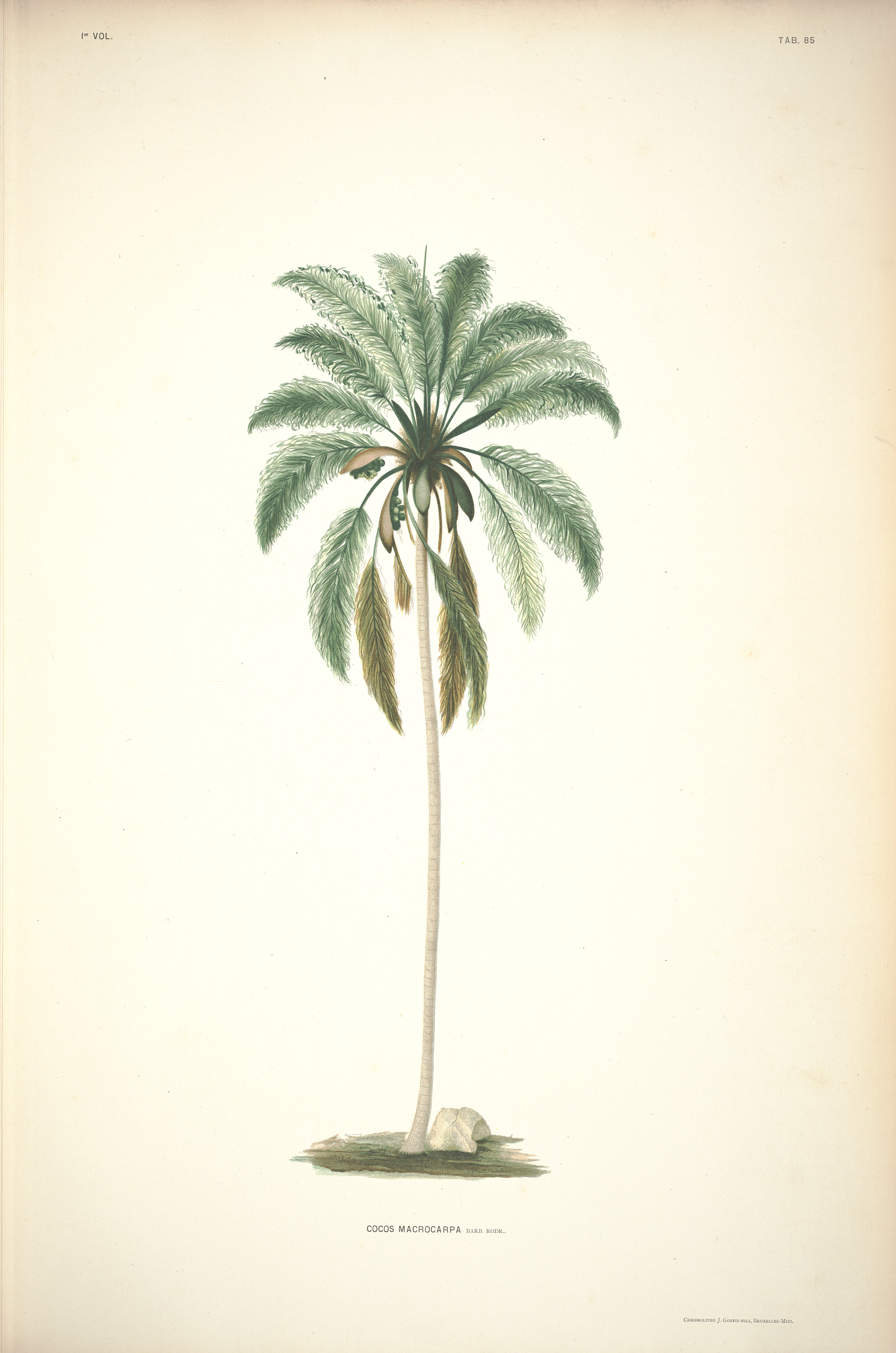 no full size  illustration available (3a)