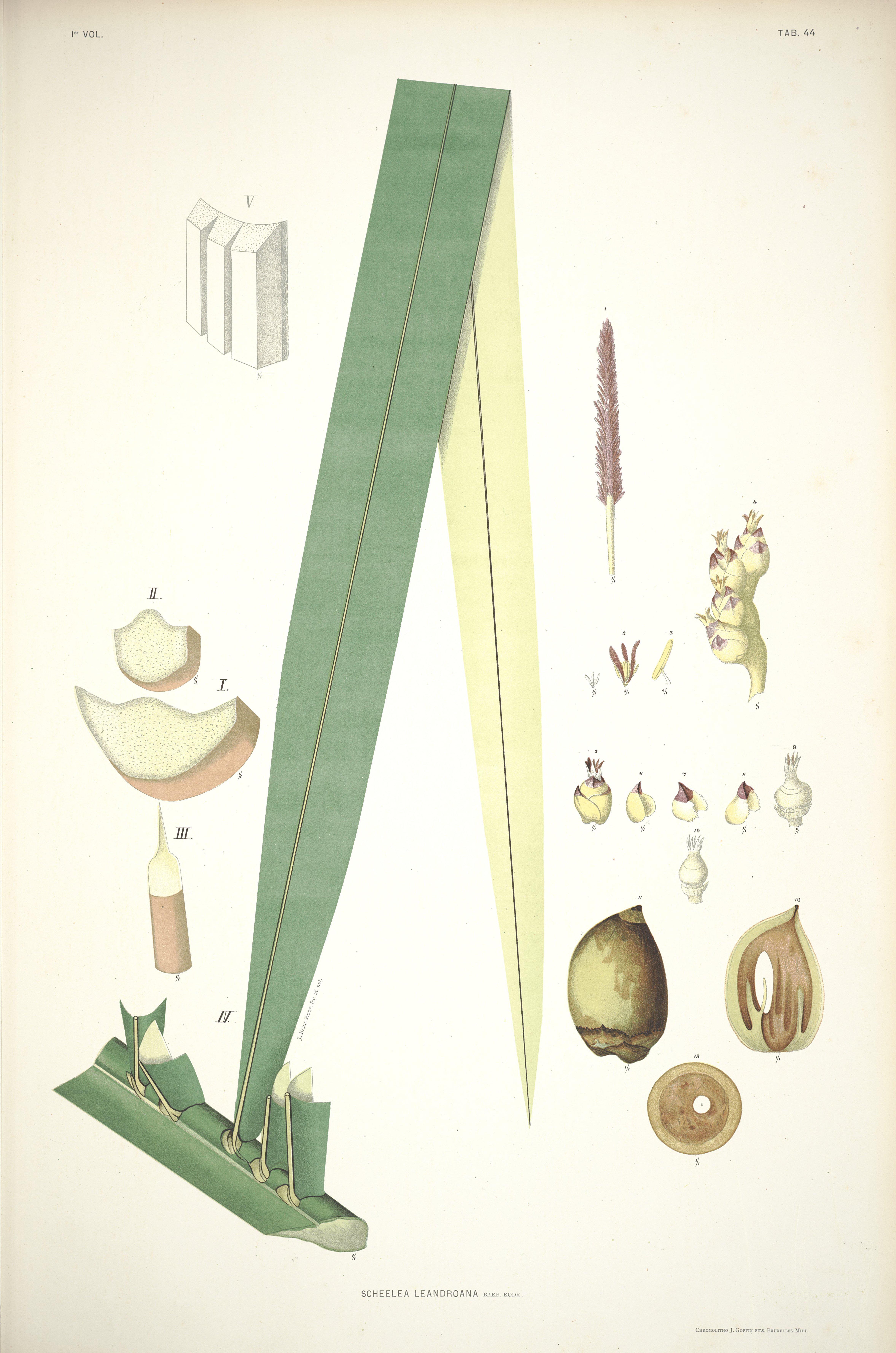 no full size  illustration available (3a)