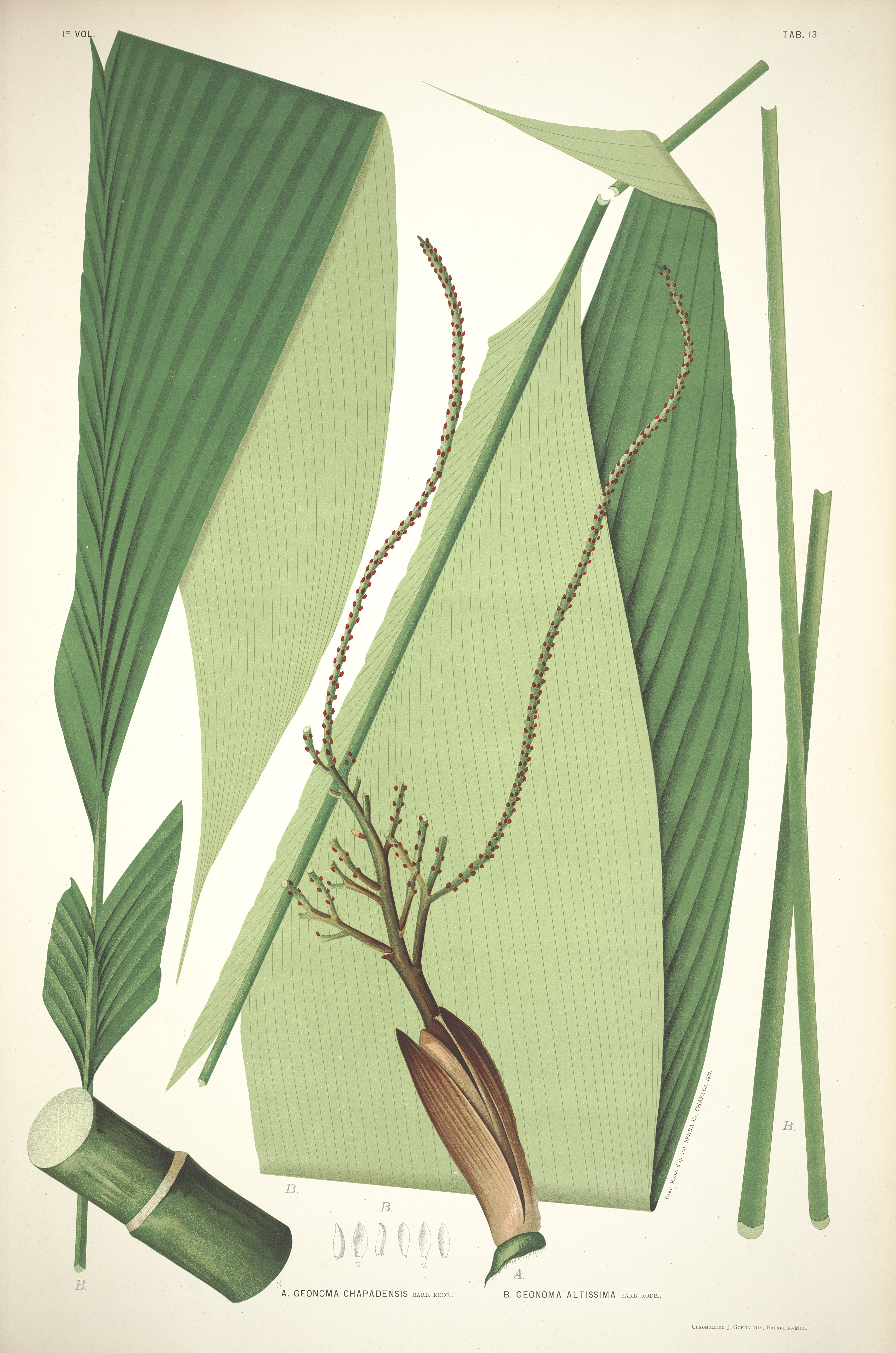 no full size  illustration available (3a)