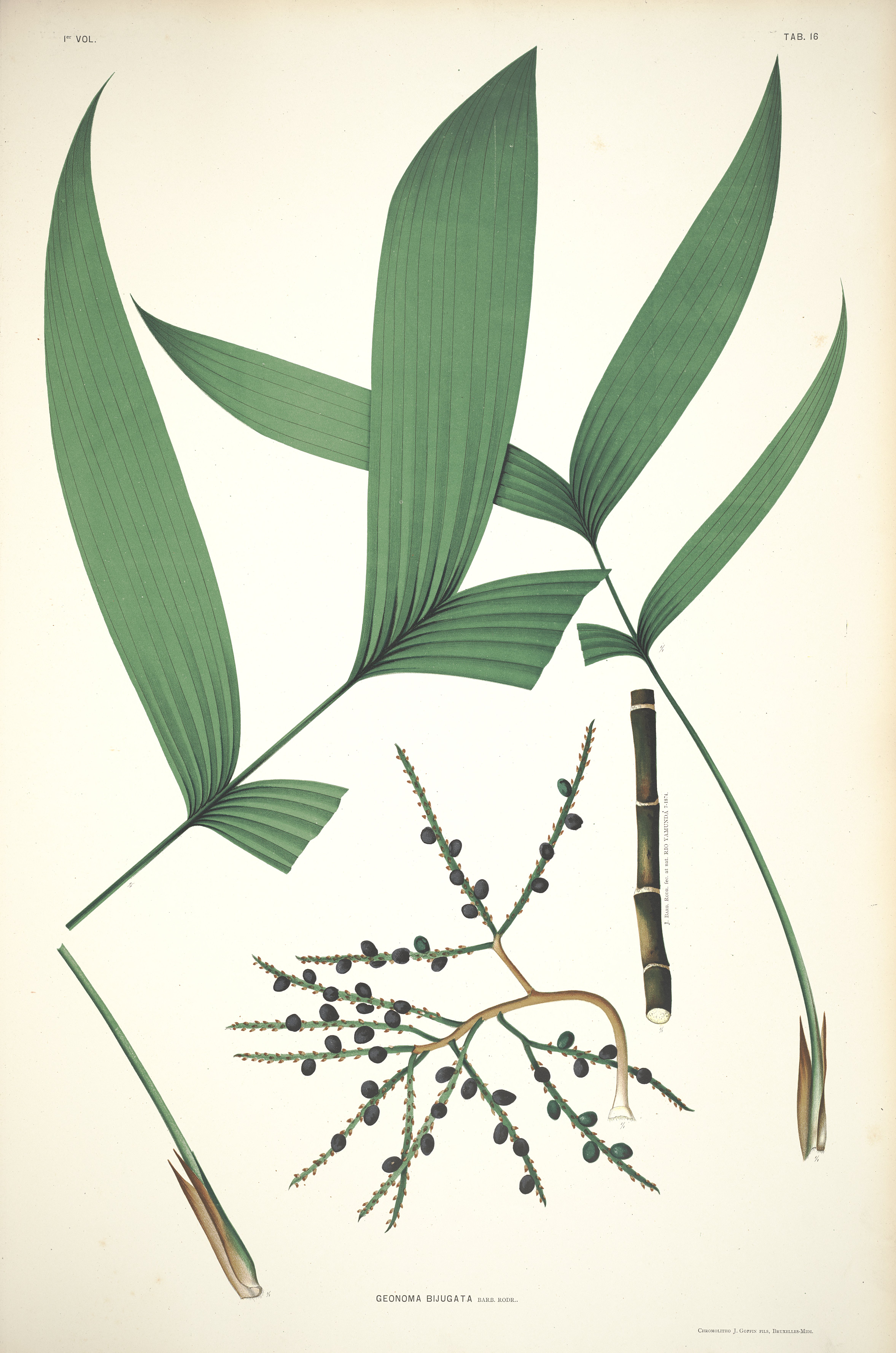 no full size  illustration available (3a)