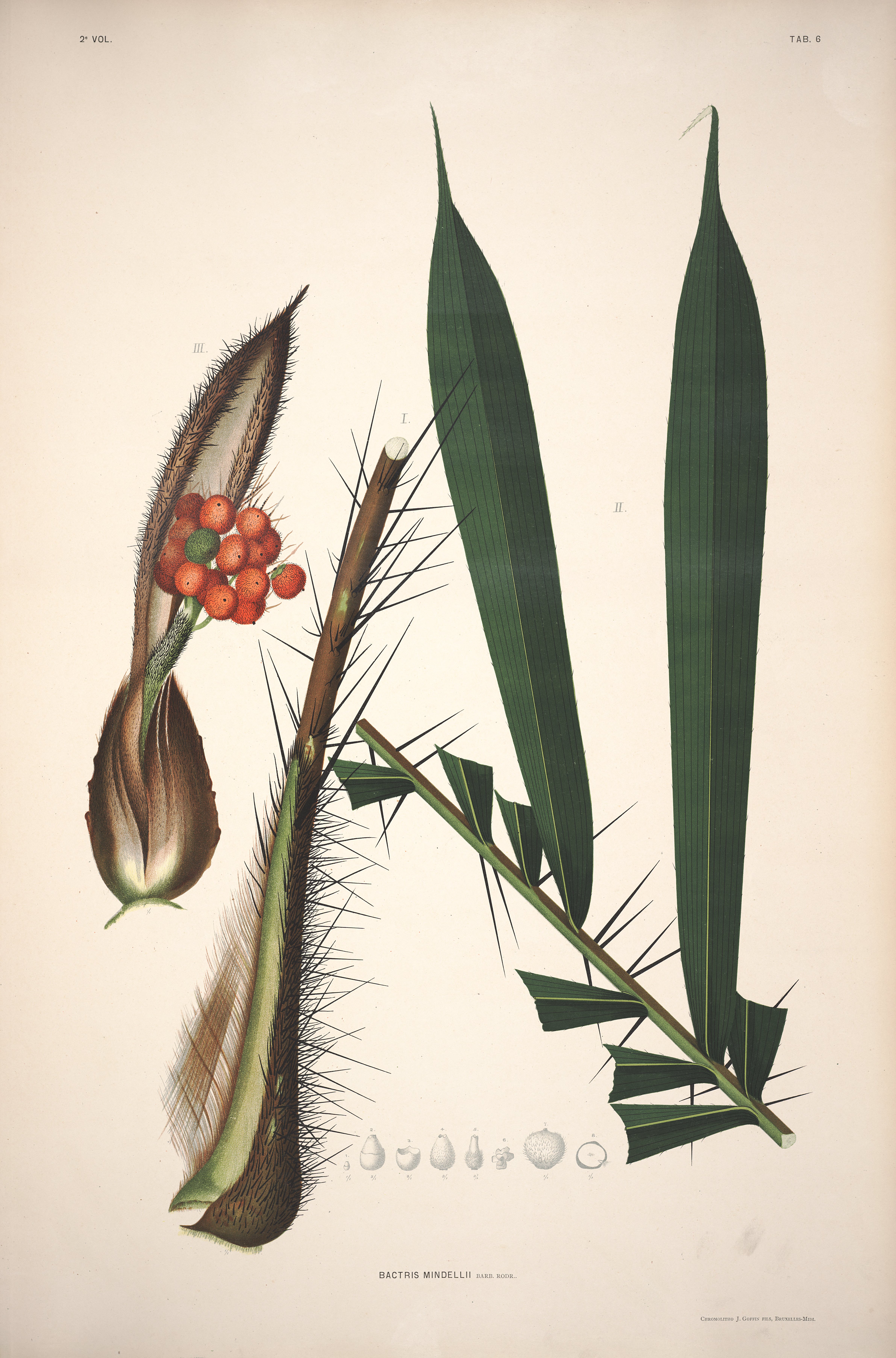 no full size  illustration available (3a)