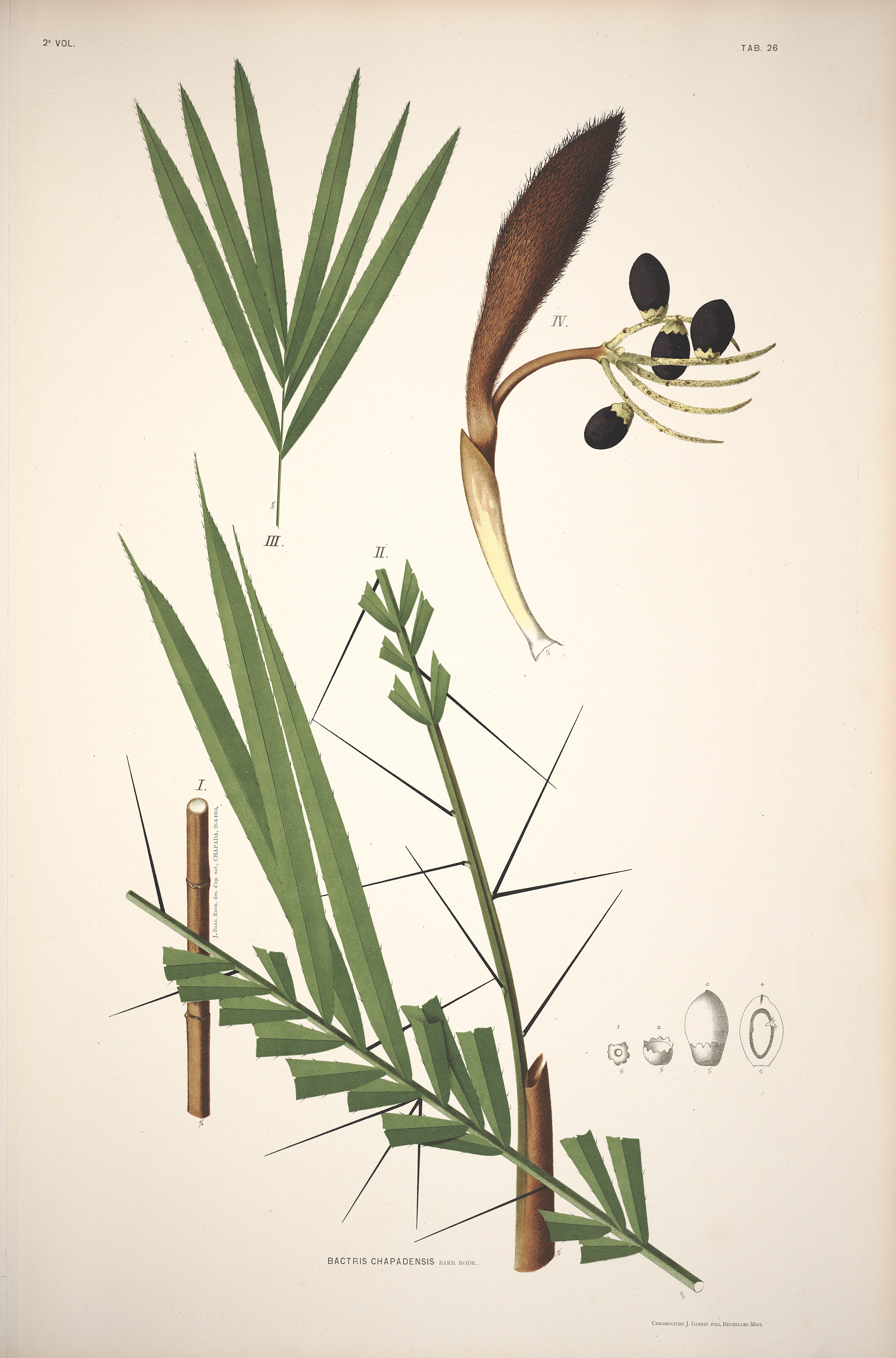 no full size  illustration available (3a)