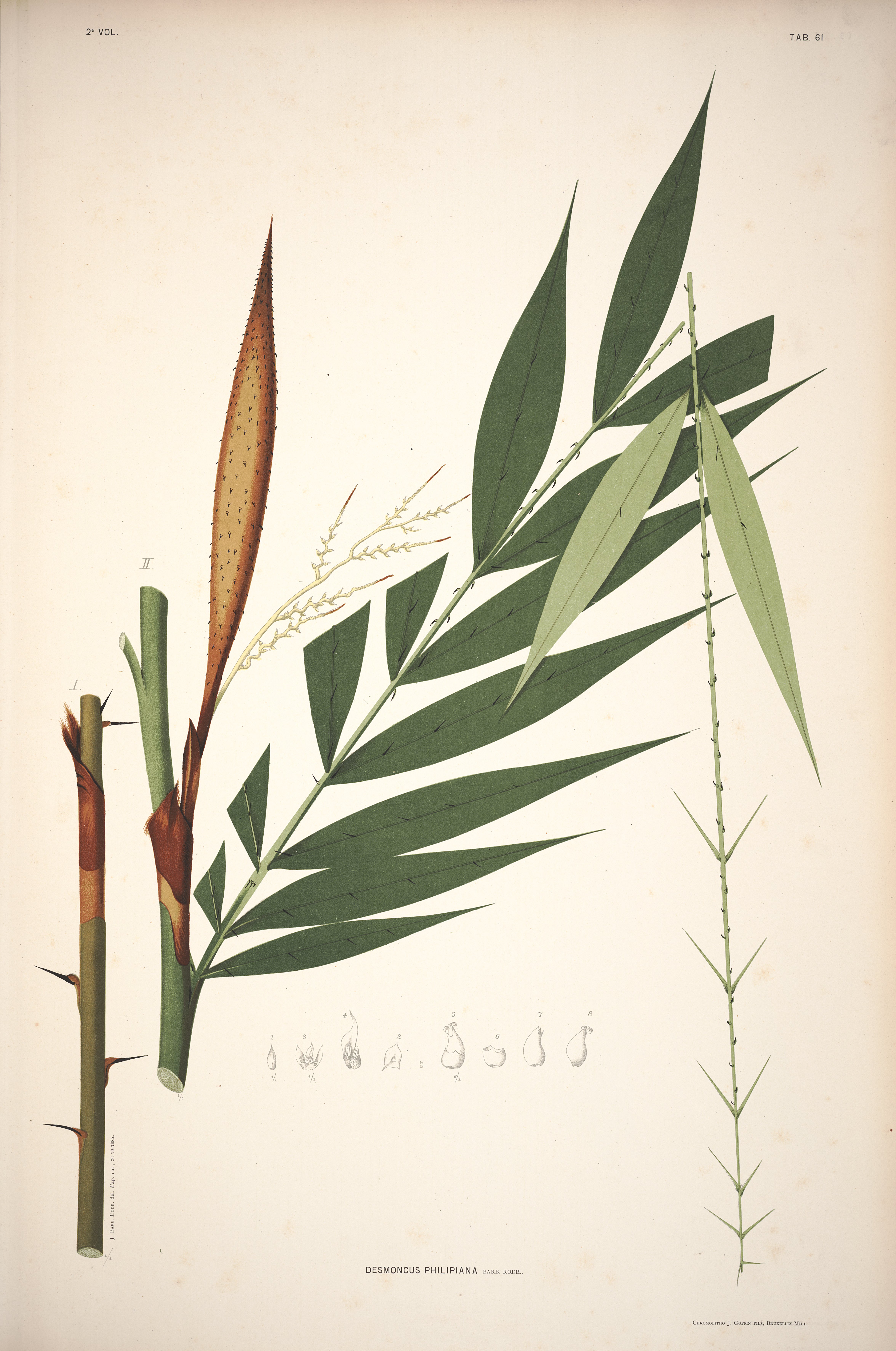 no full size  illustration available (3a)