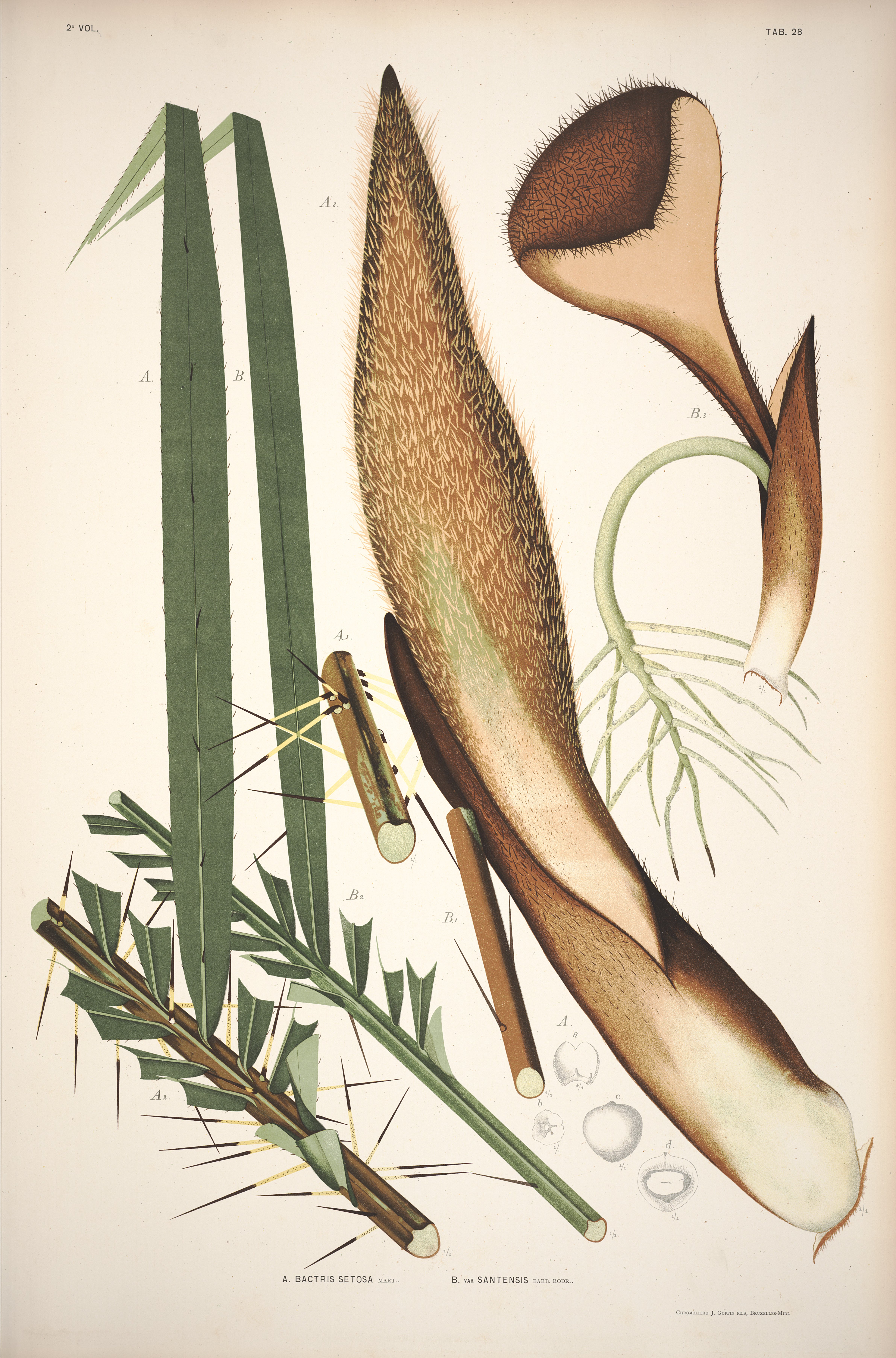 no full size  illustration available (3a)