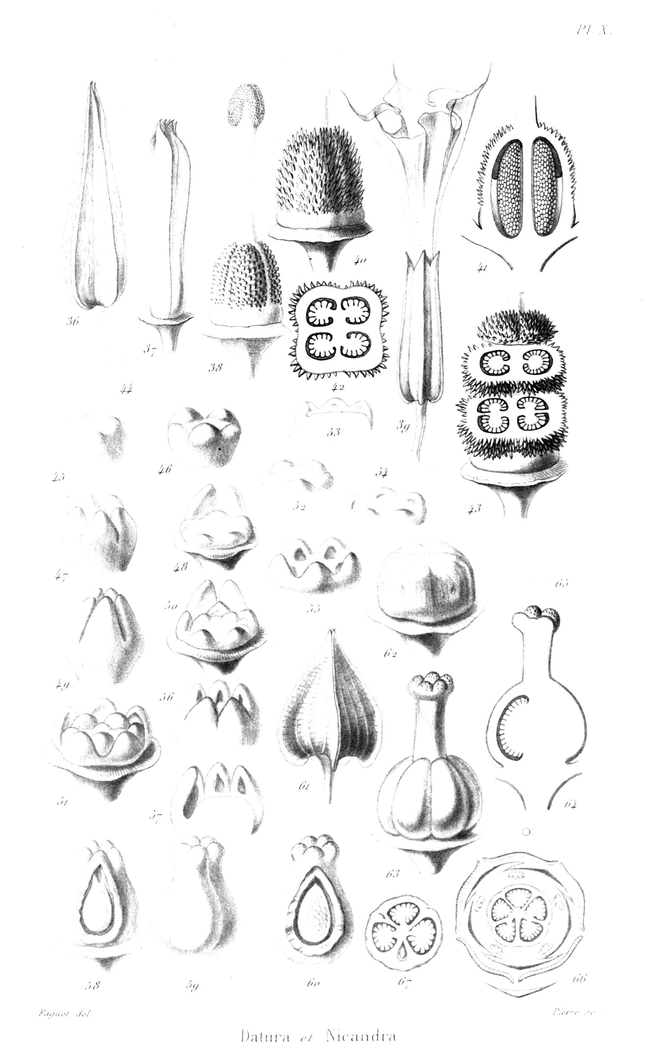 no full size  illustration available (3a)