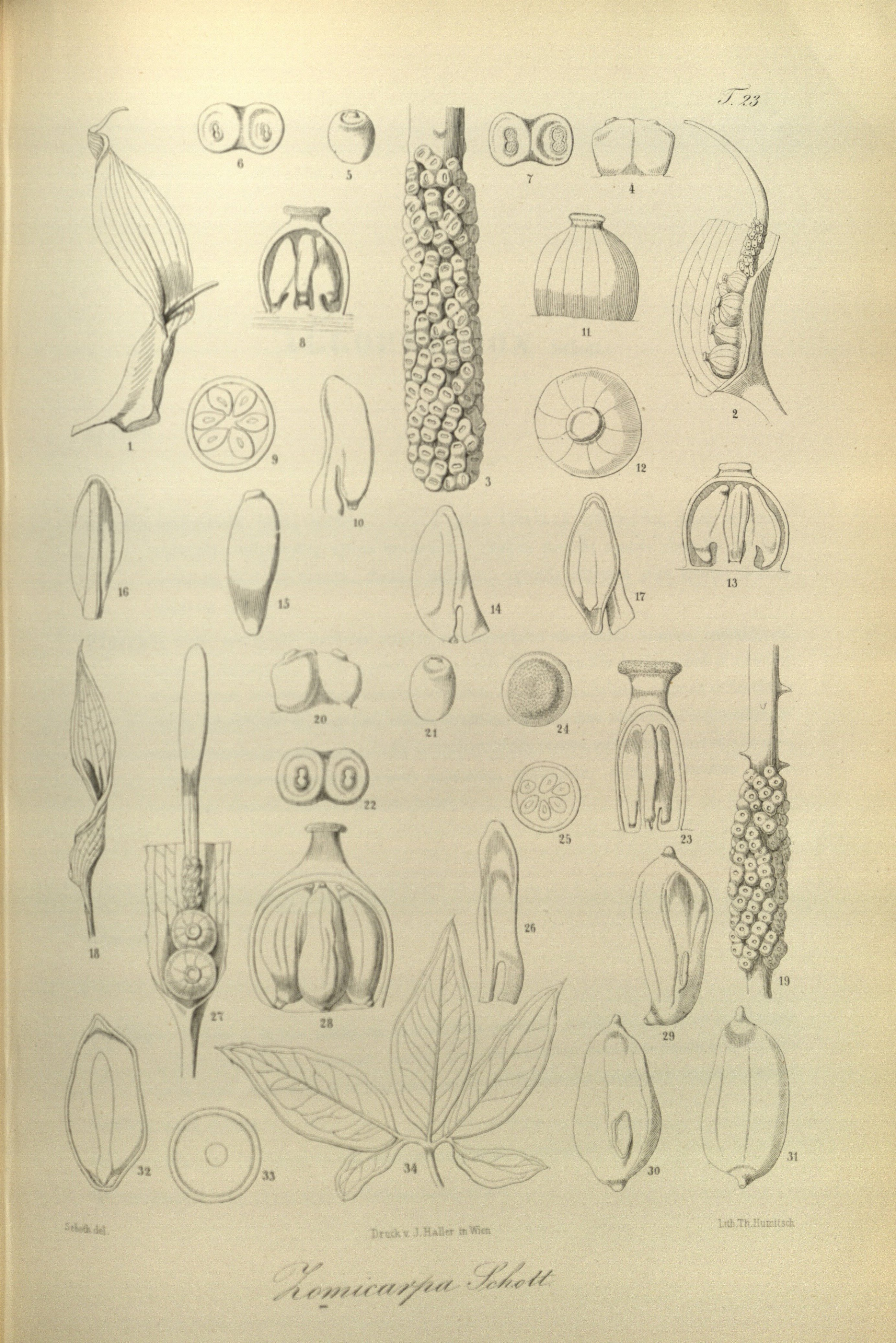 no full size  illustration available (3a)