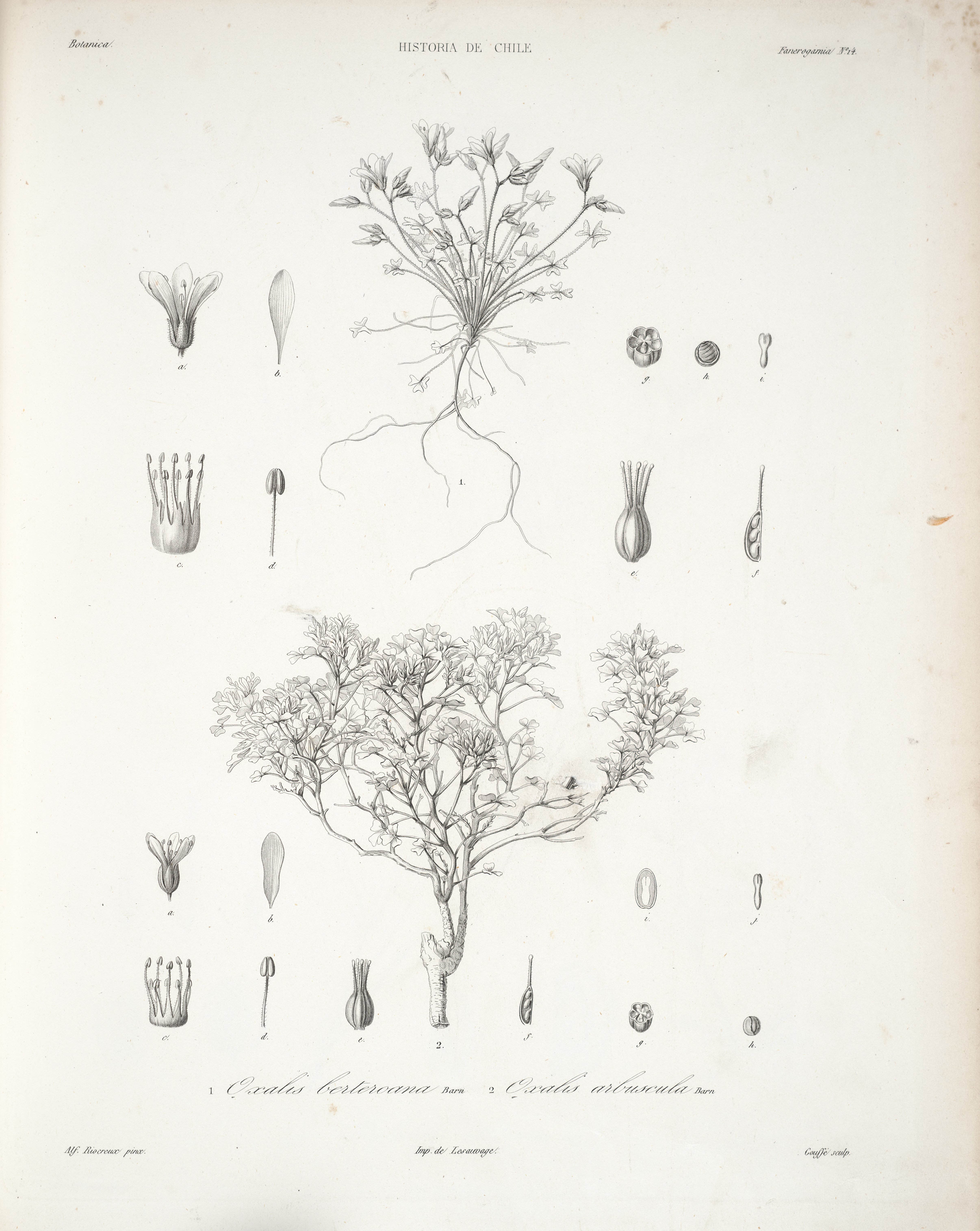 no full size  illustration available (3a)