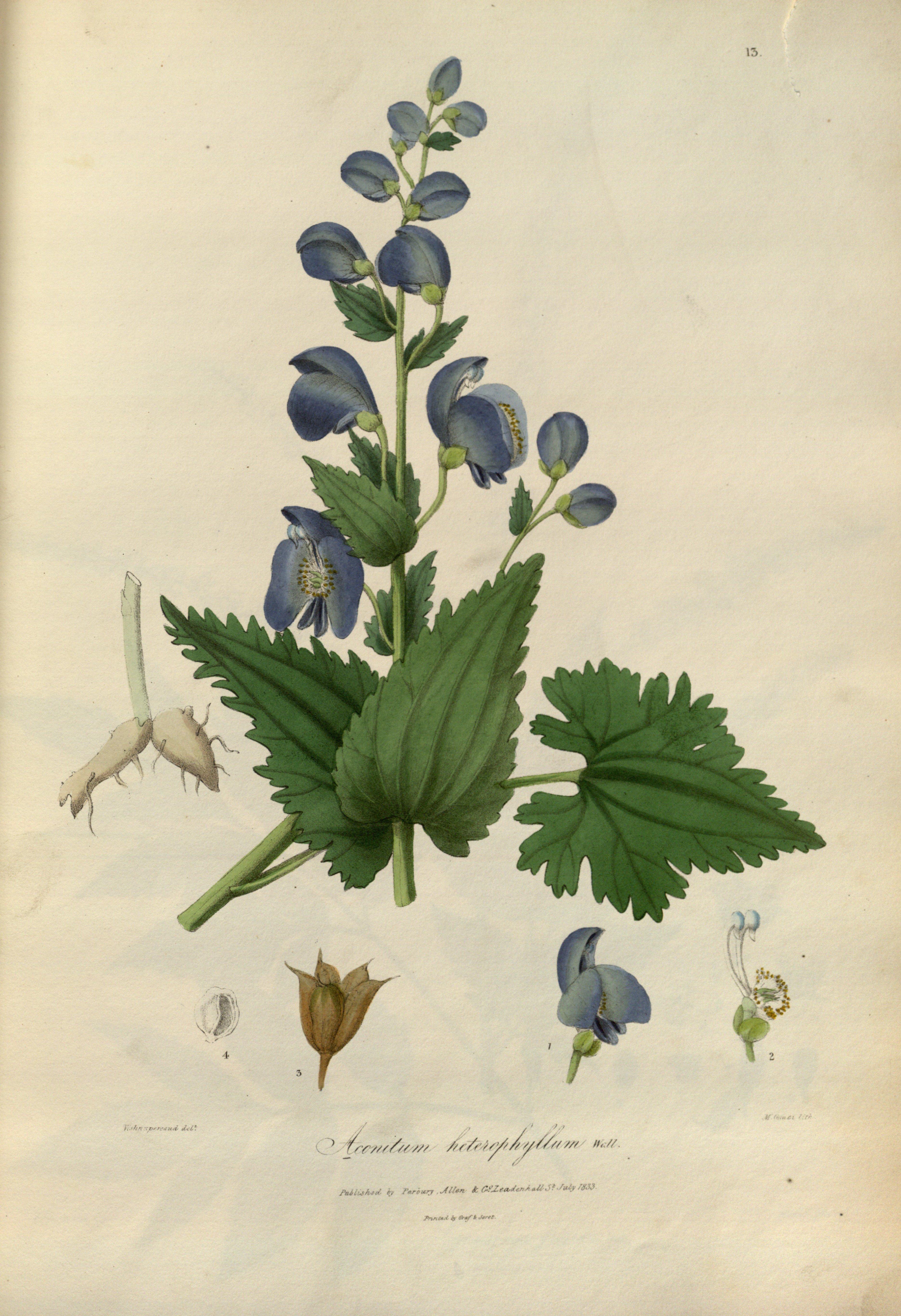 no full size  illustration available (3a)