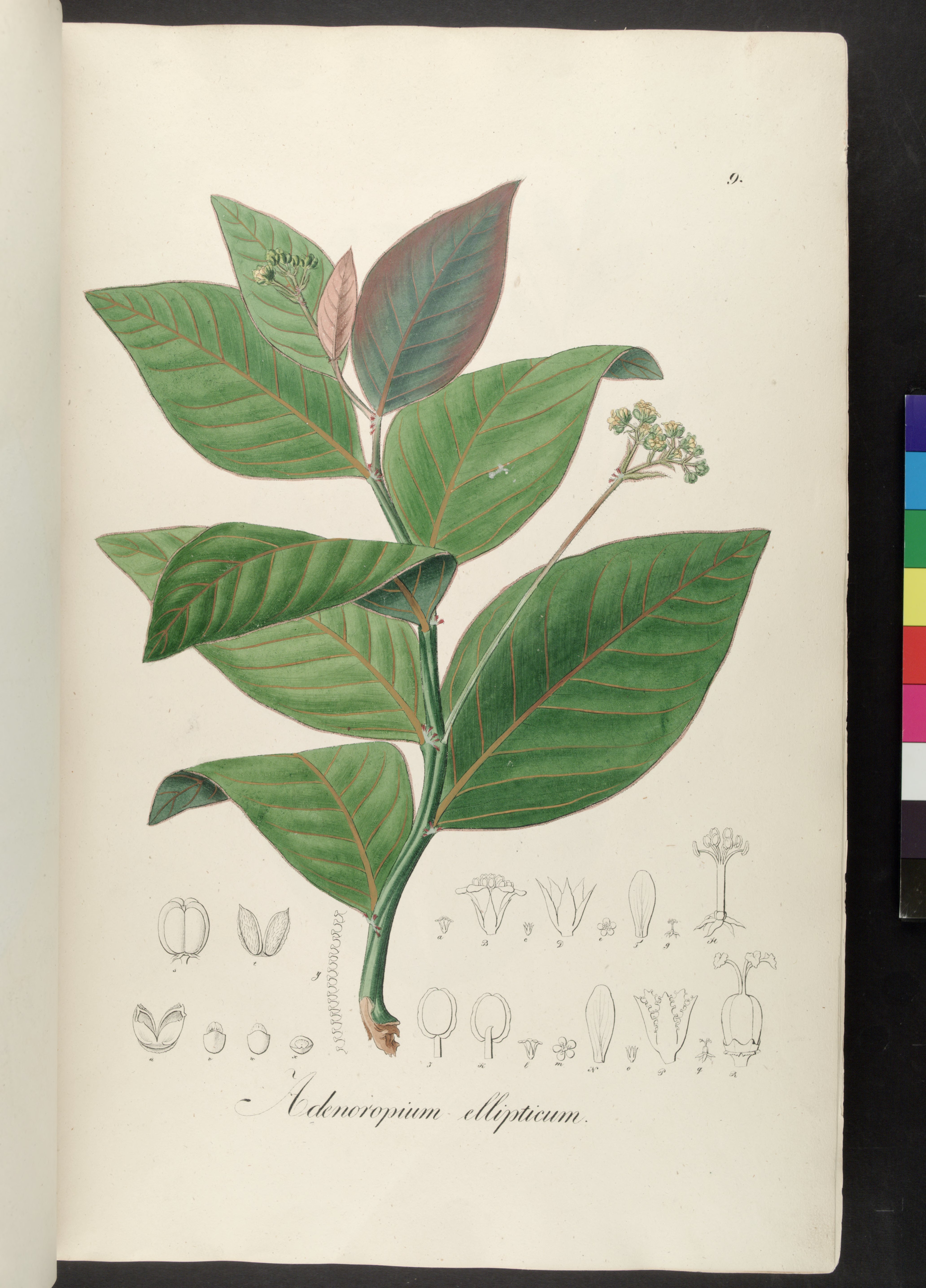 no full size  illustration available (3a)