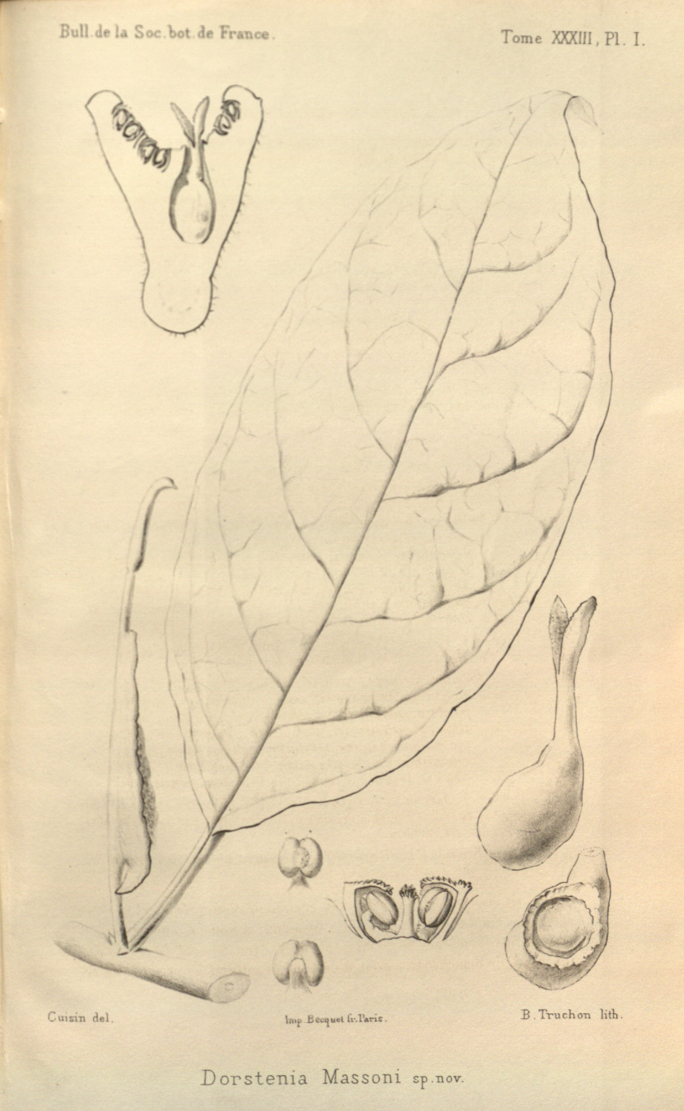 no full size  illustration available (3a)