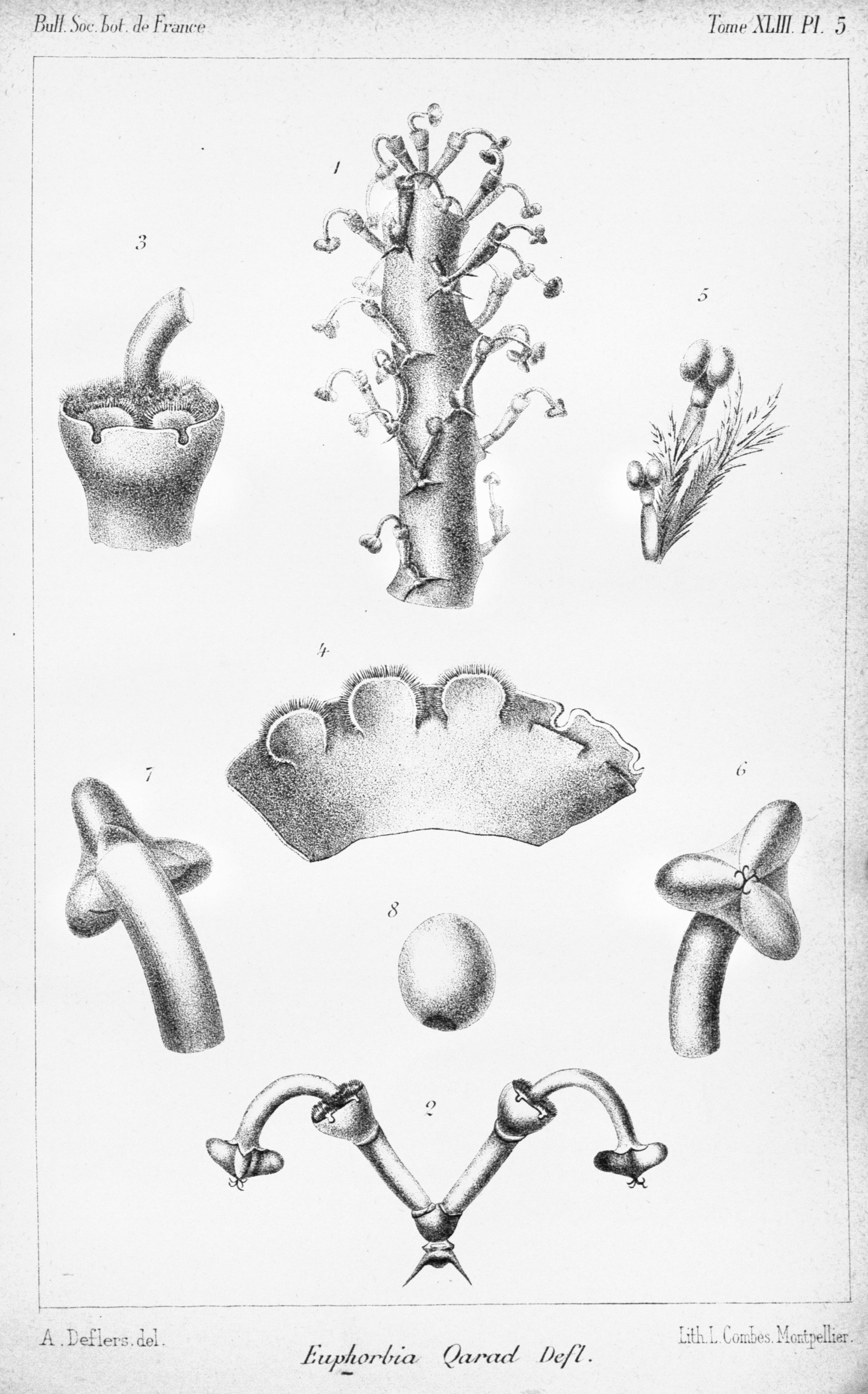 no full size  illustration available (3a)