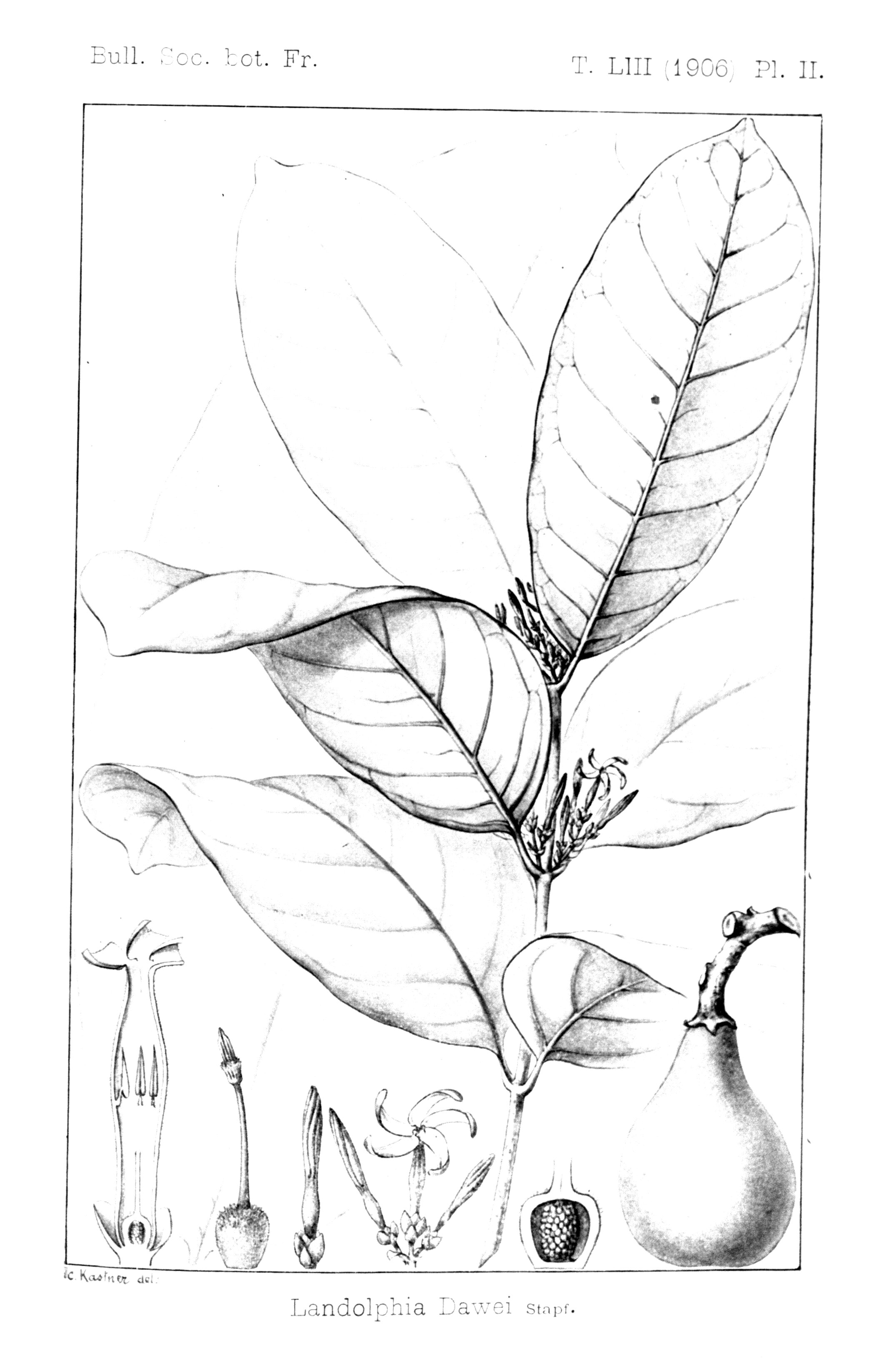 no full size  illustration available (3a)