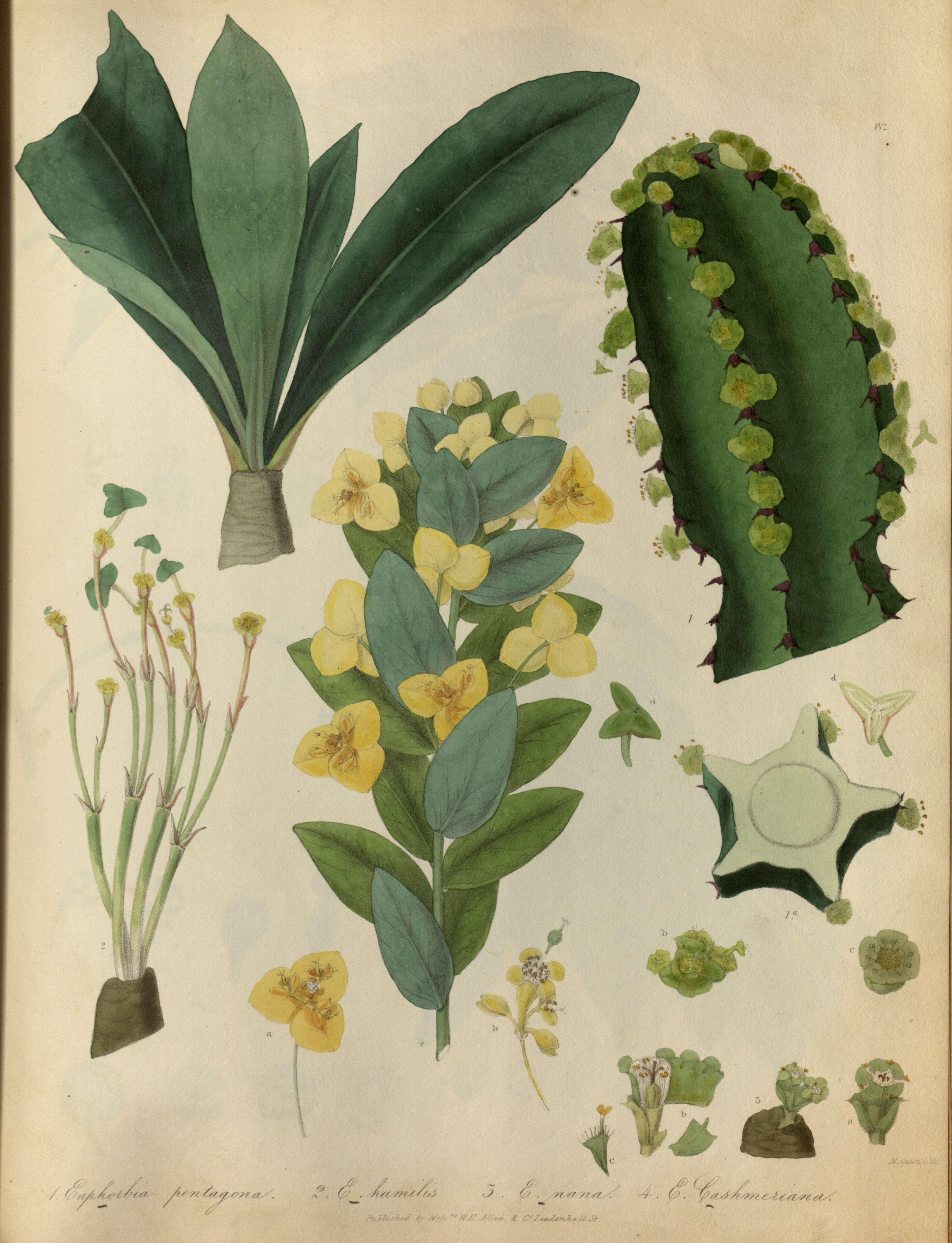 no full size  illustration available (3a)