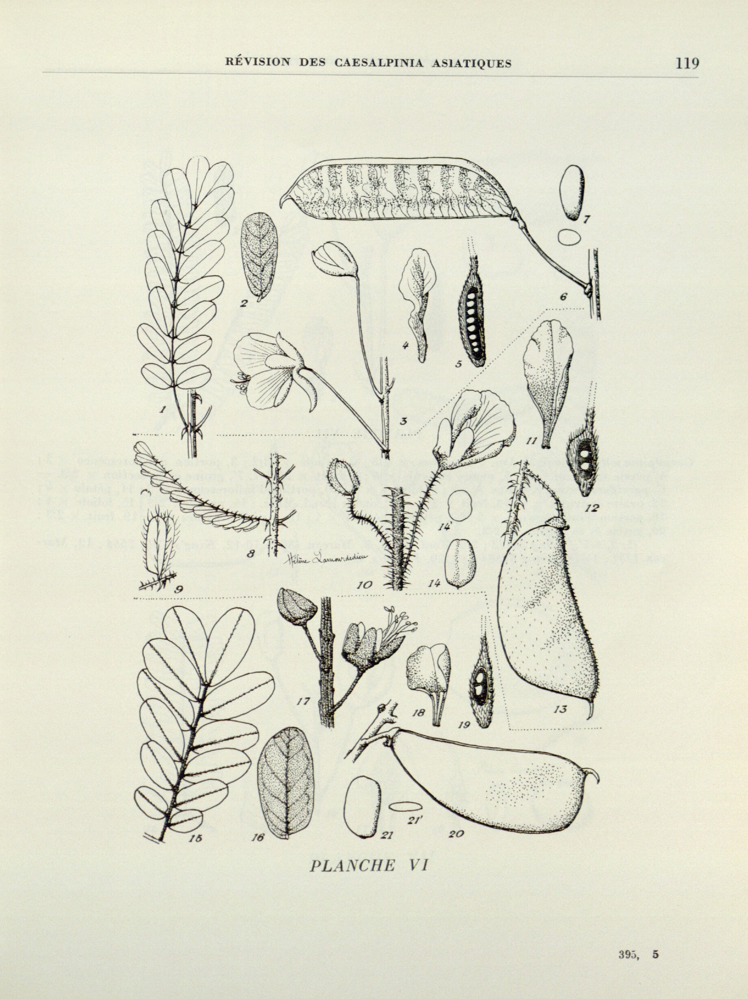 no full size  illustration available (3a)