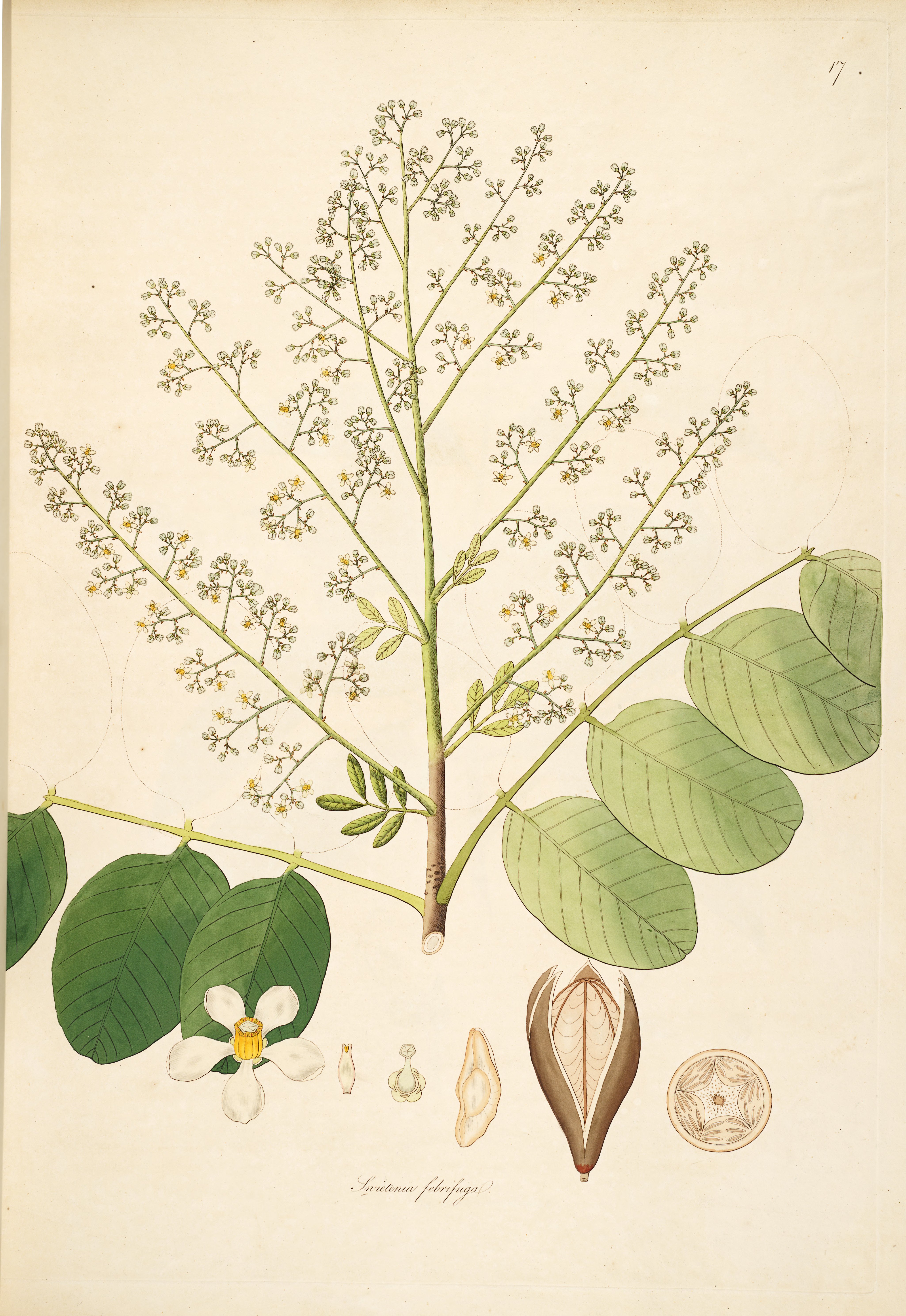 no full size  illustration available (3a)