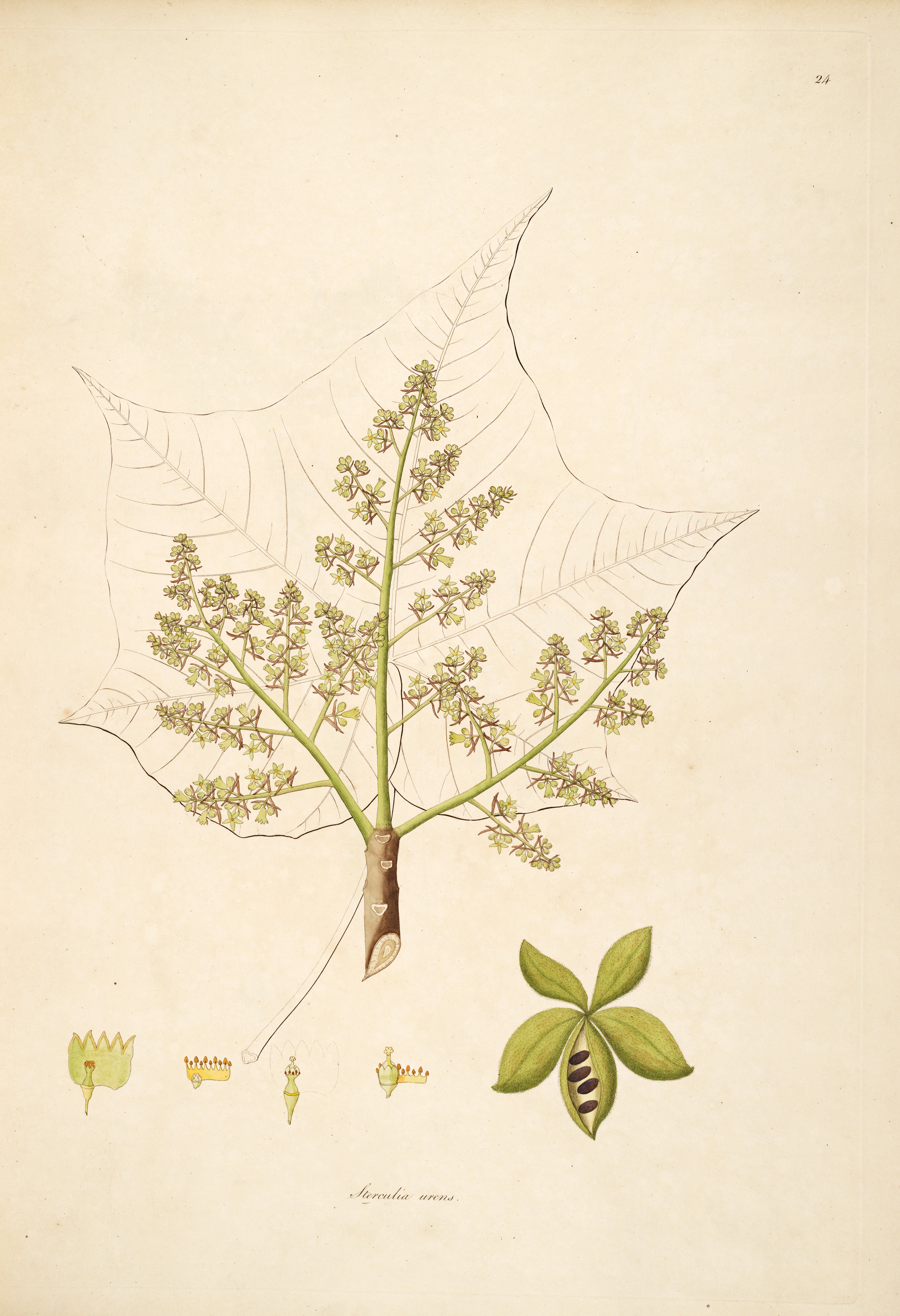 no full size  illustration available (3a)