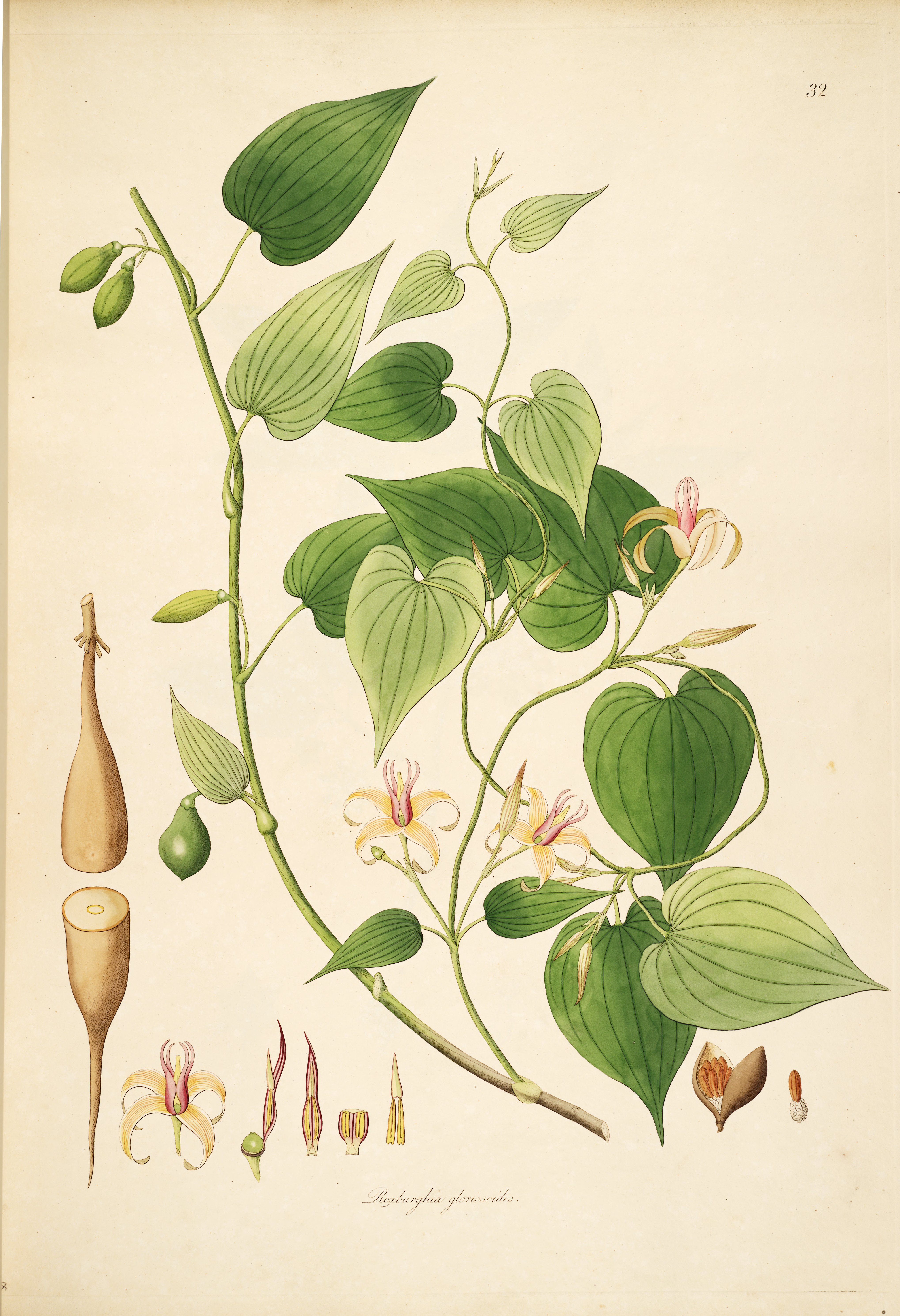 no full size  illustration available (3a)