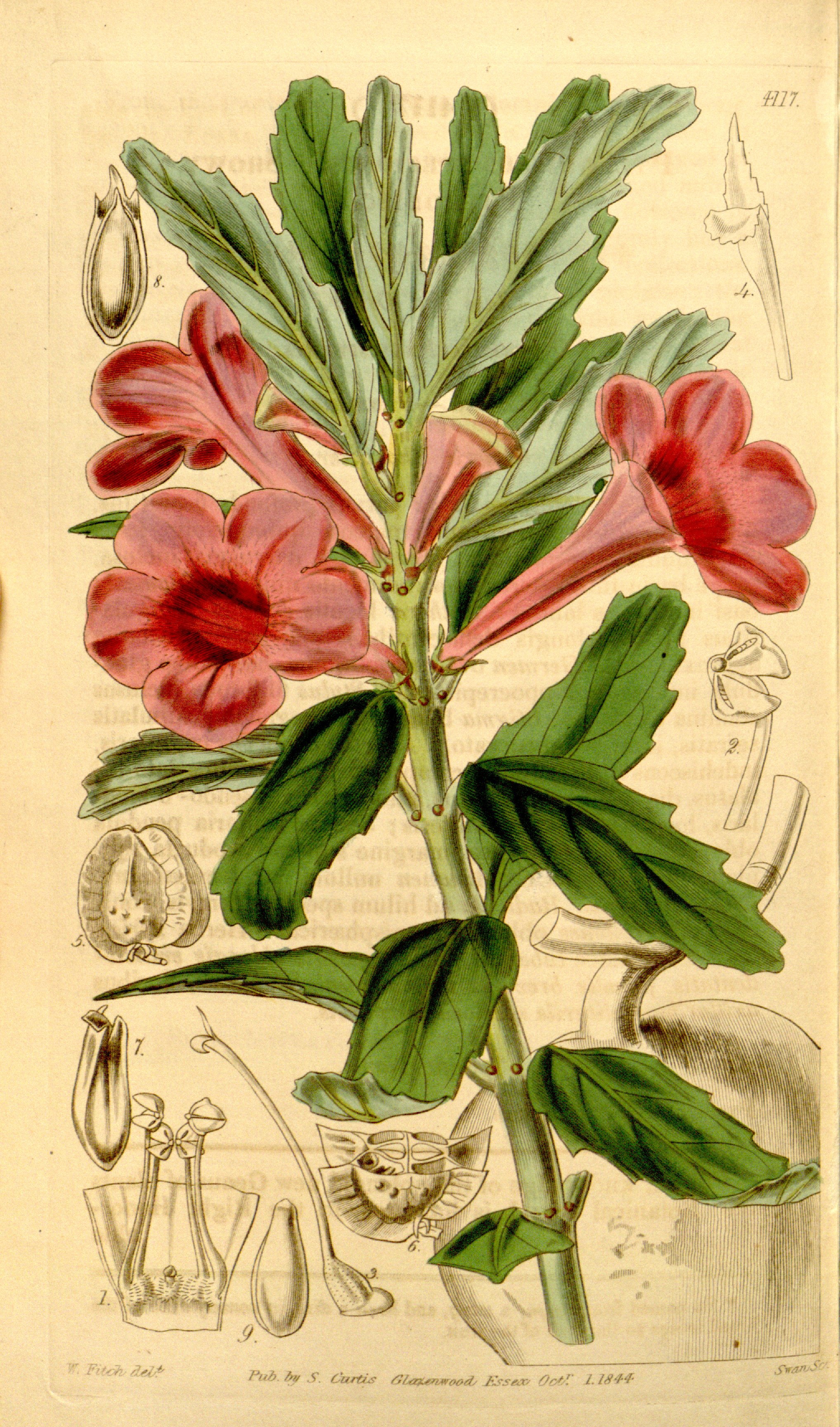 no full size  illustration available (3a)