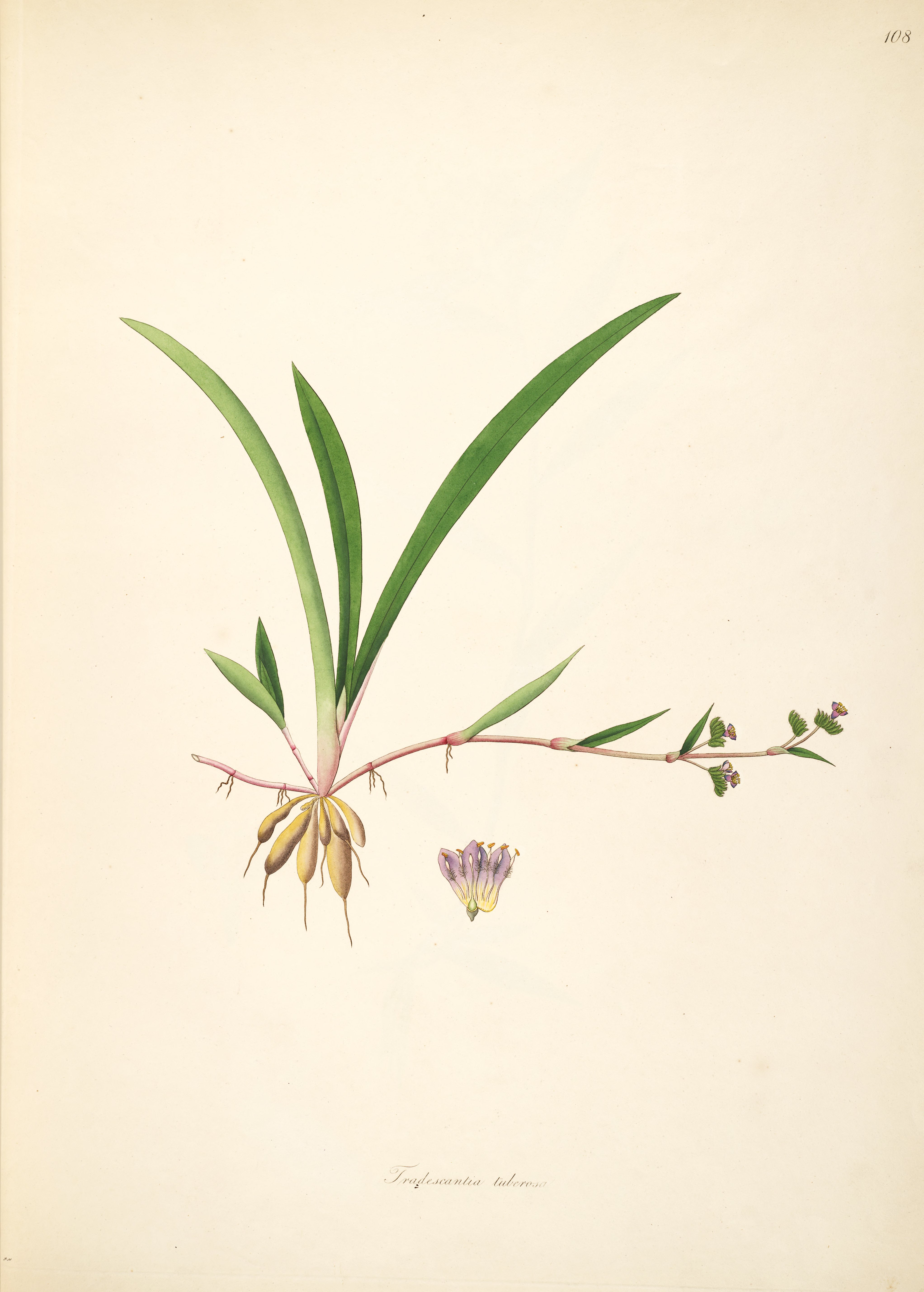 no full size  illustration available (3a)