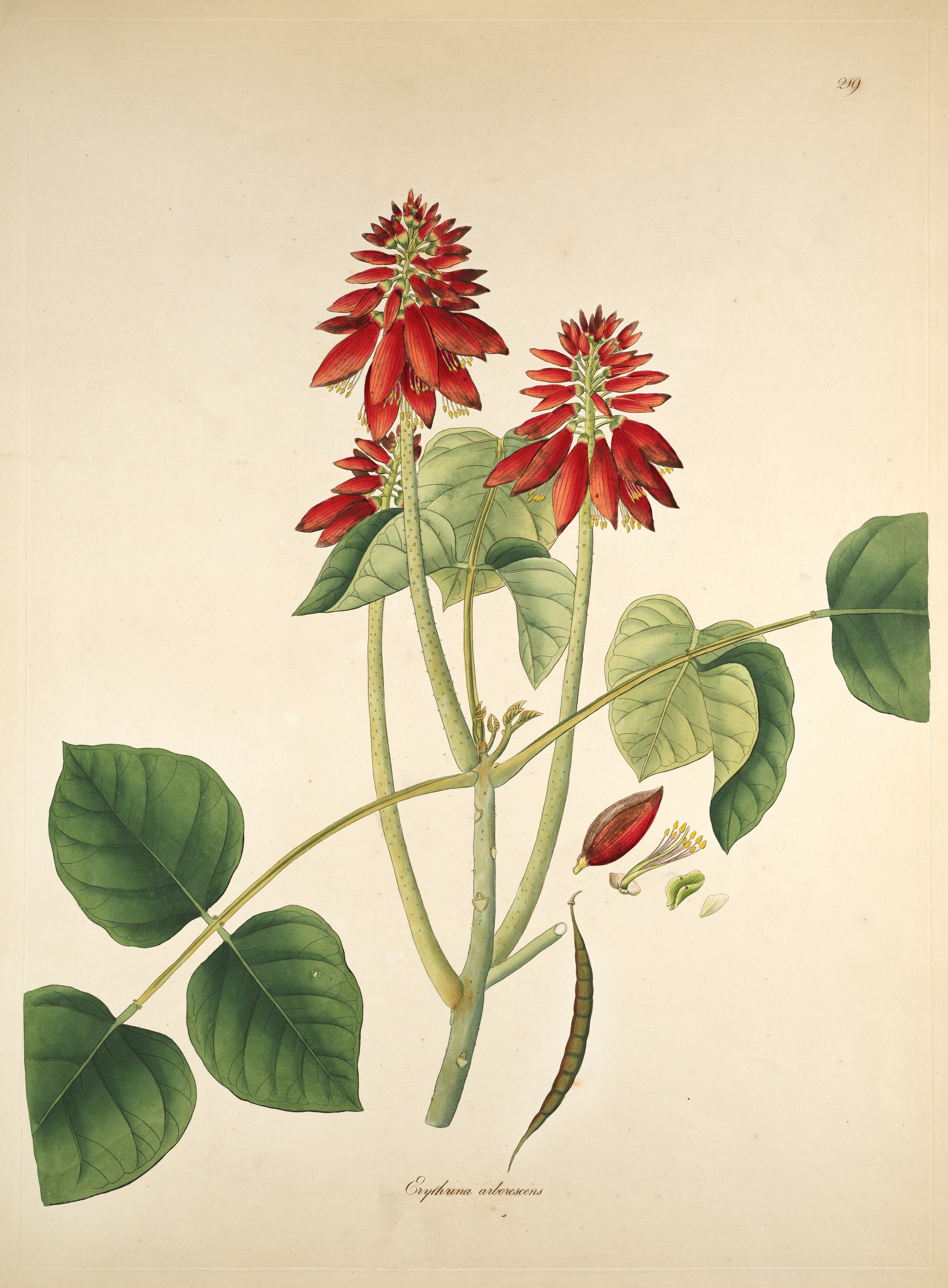 no full size  illustration available (3a)