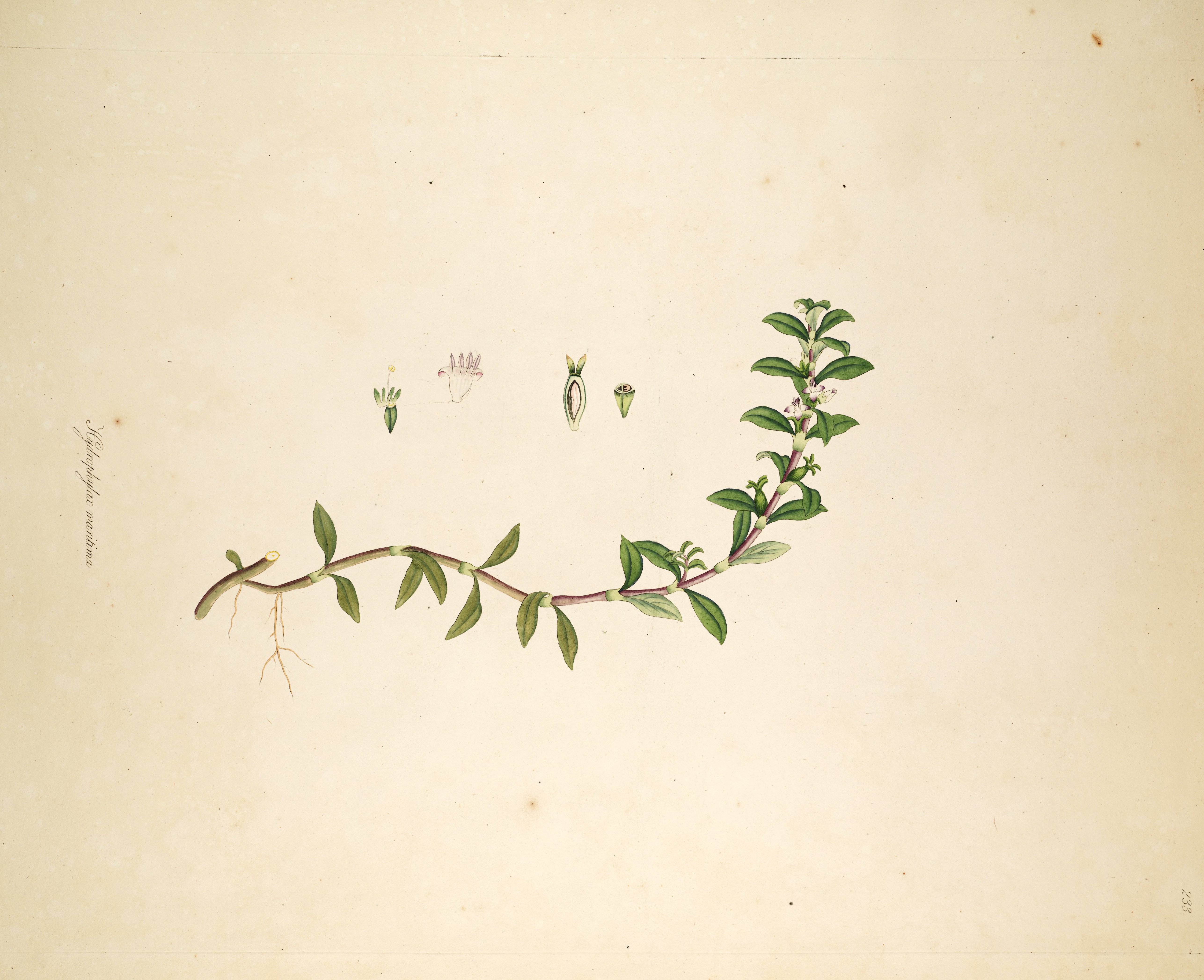 no full size  illustration available (3a)