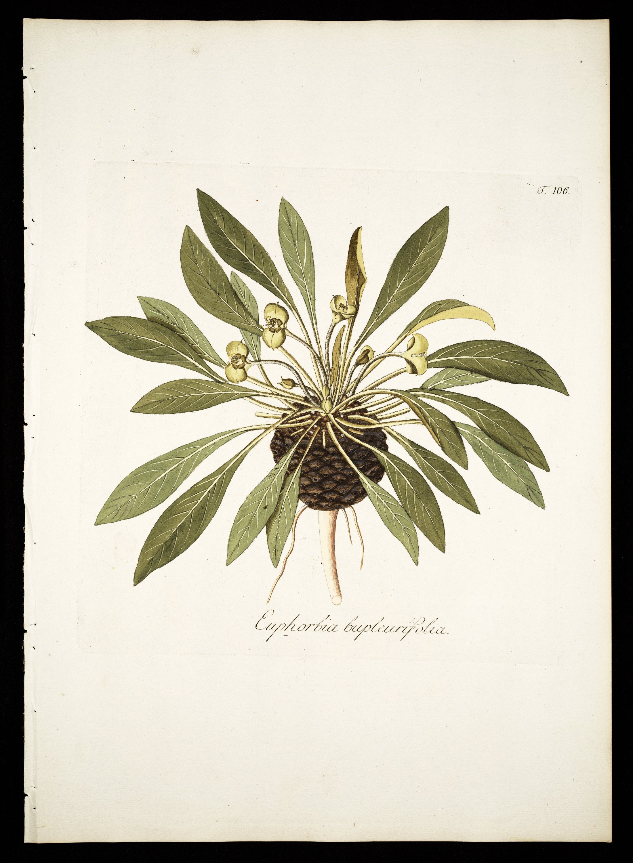 no full size  illustration available (3a)