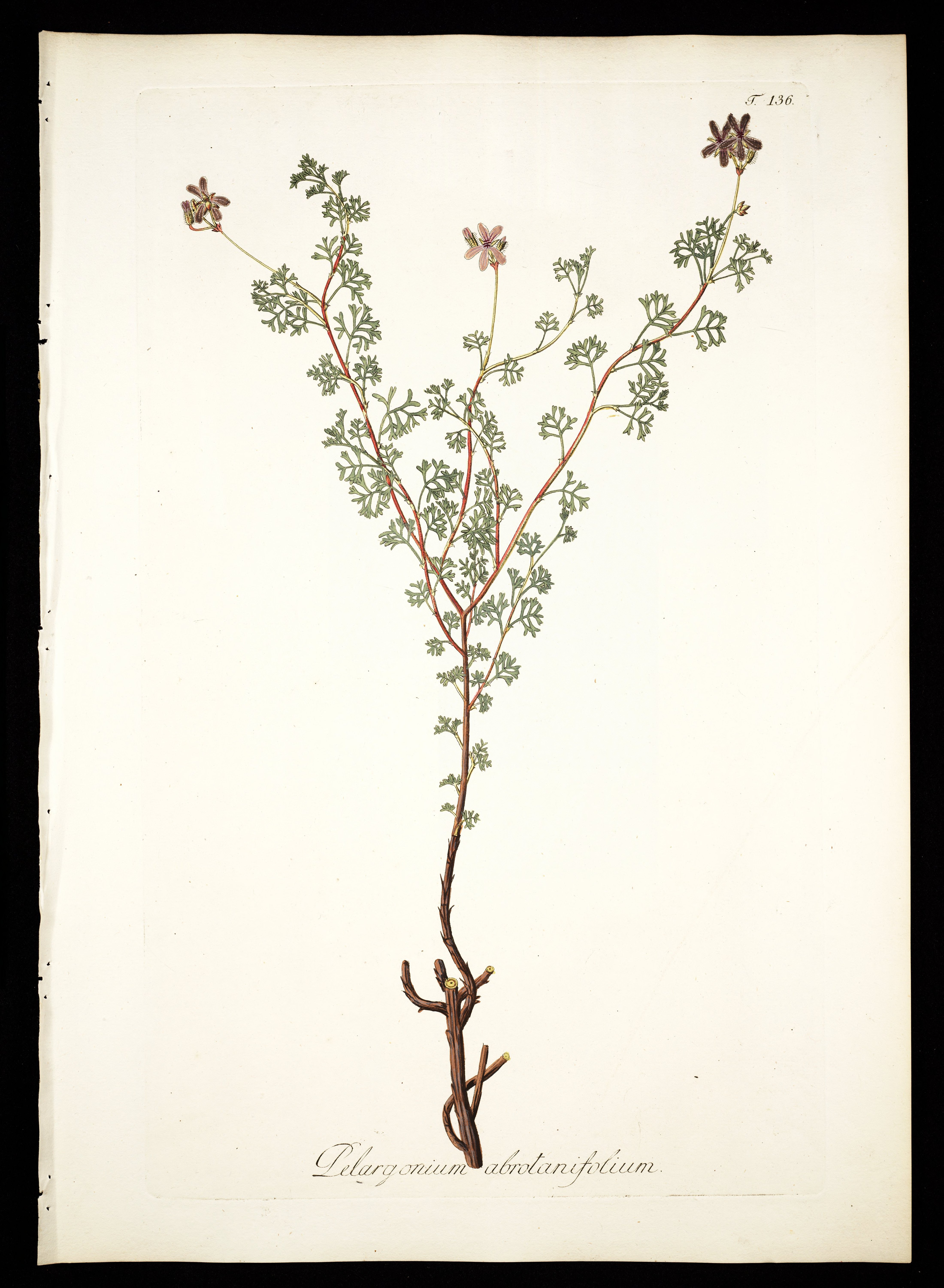 no full size  illustration available (3a)