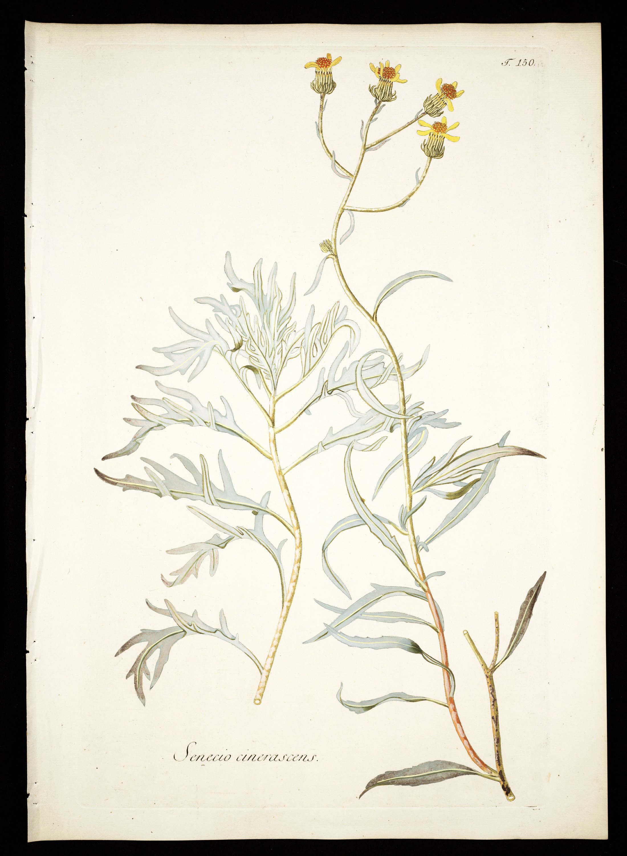 no full size  illustration available (3a)