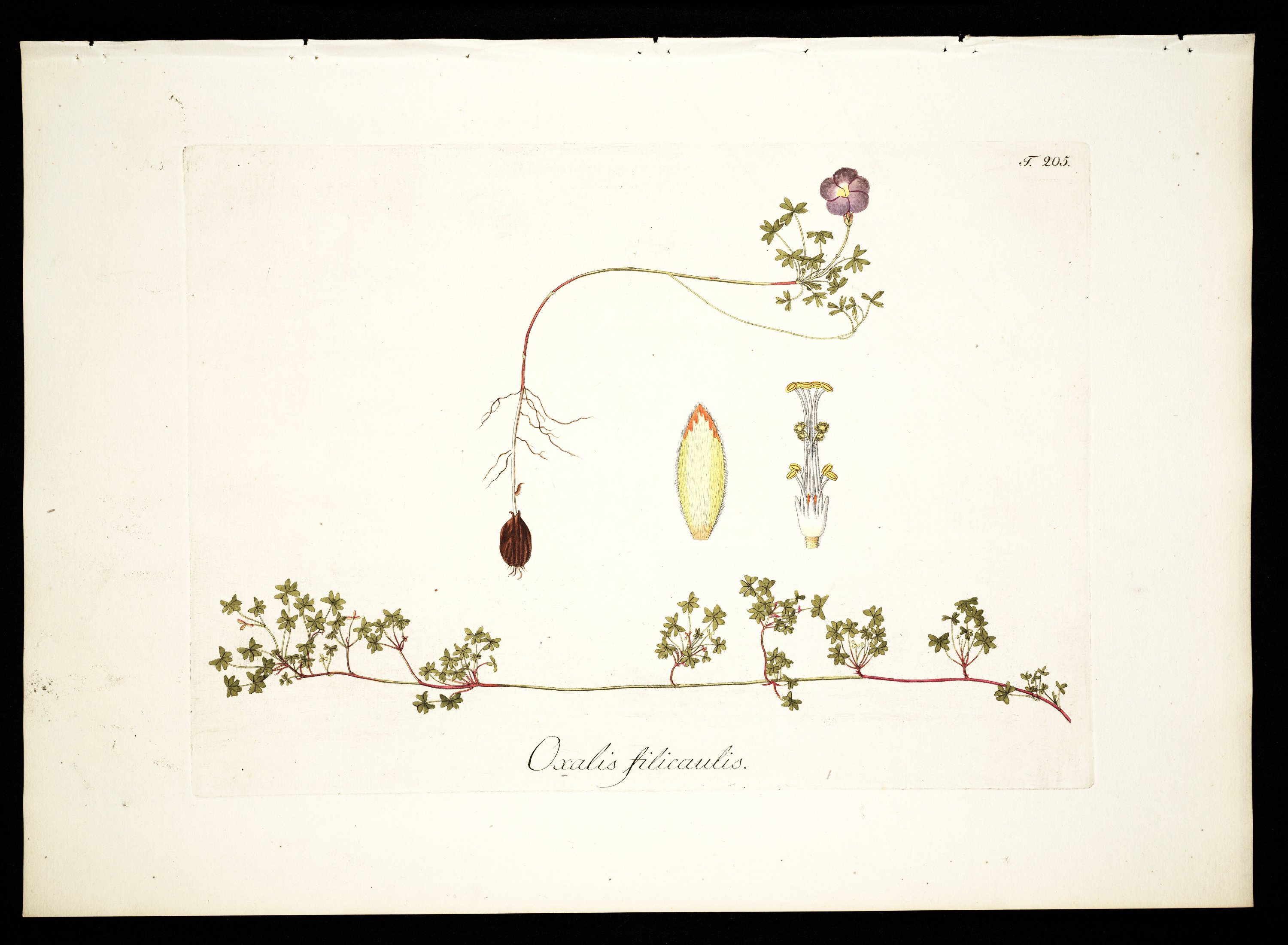 no full size  illustration available (3a)