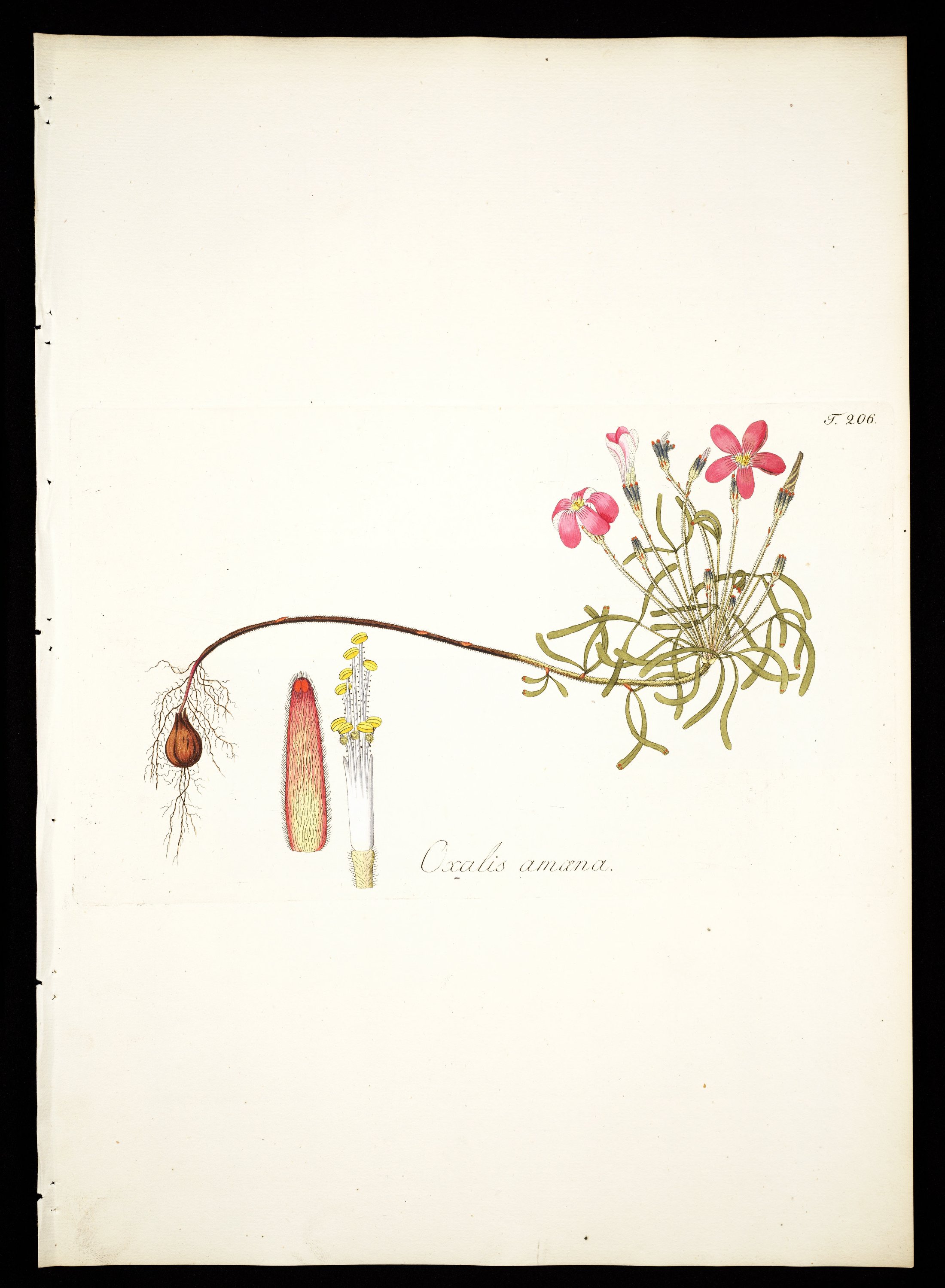 no full size  illustration available (3a)