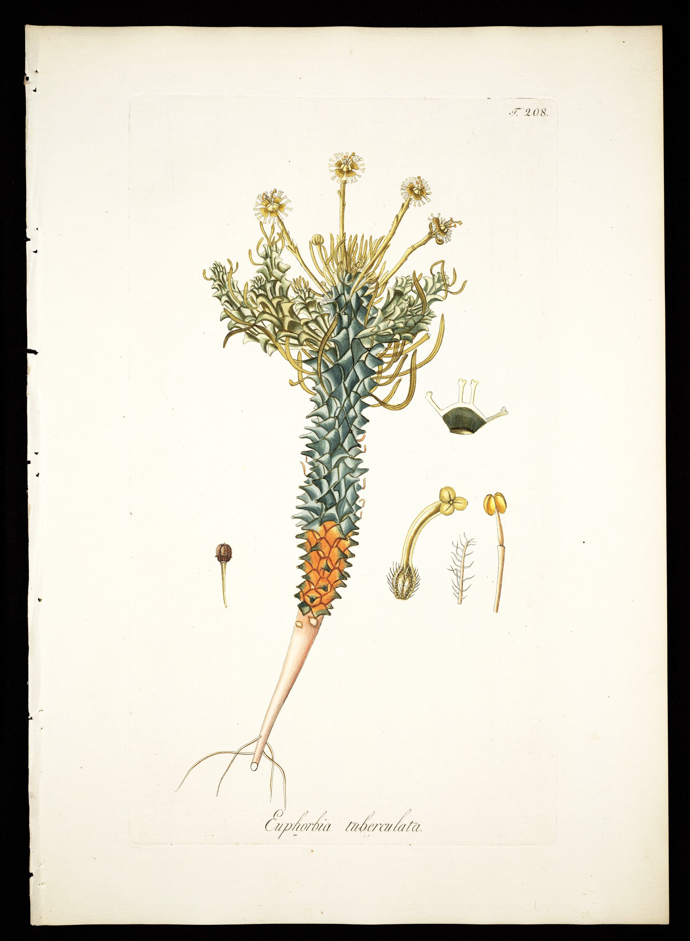 no full size  illustration available (3a)