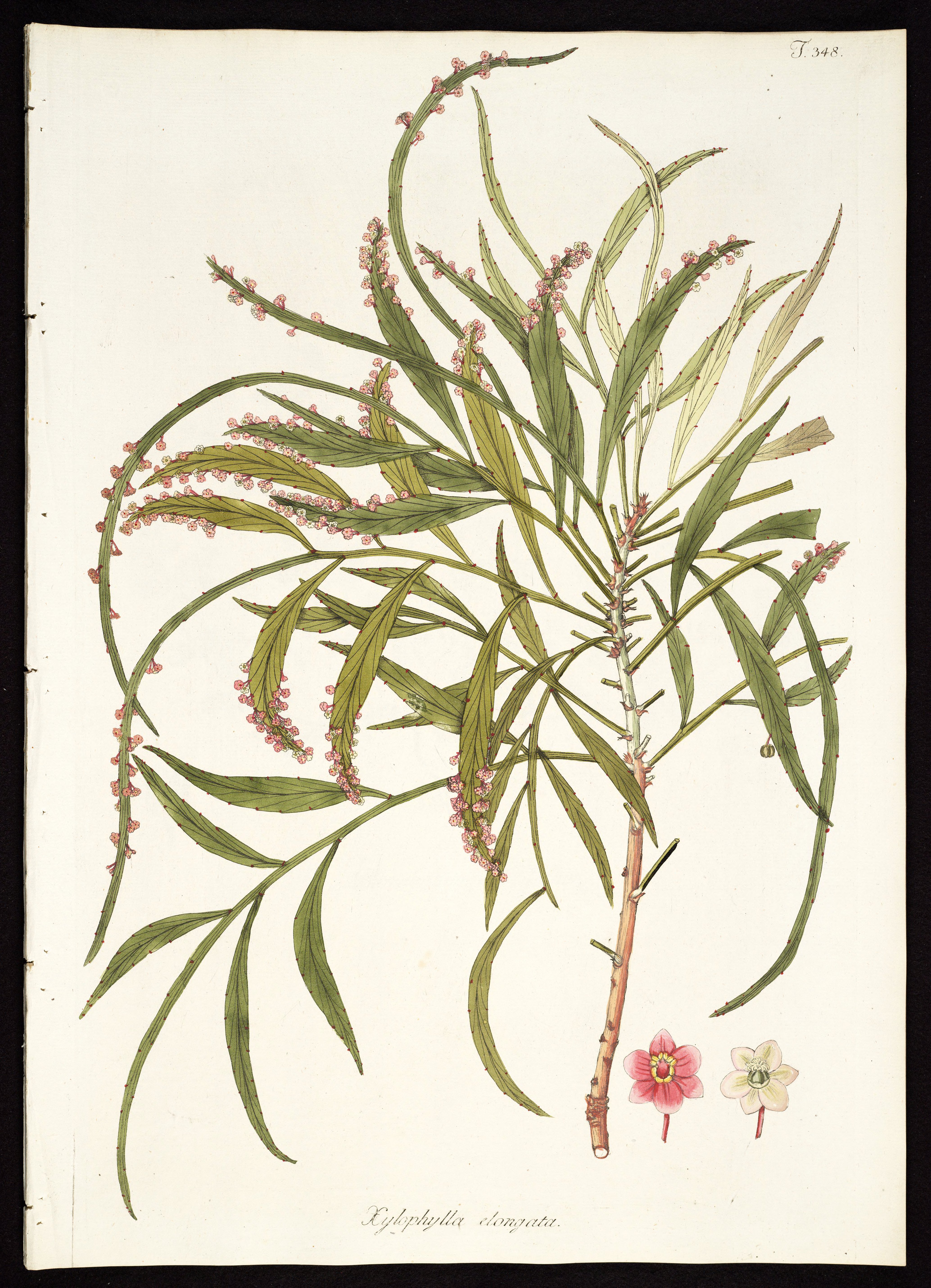 no full size  illustration available (3a)