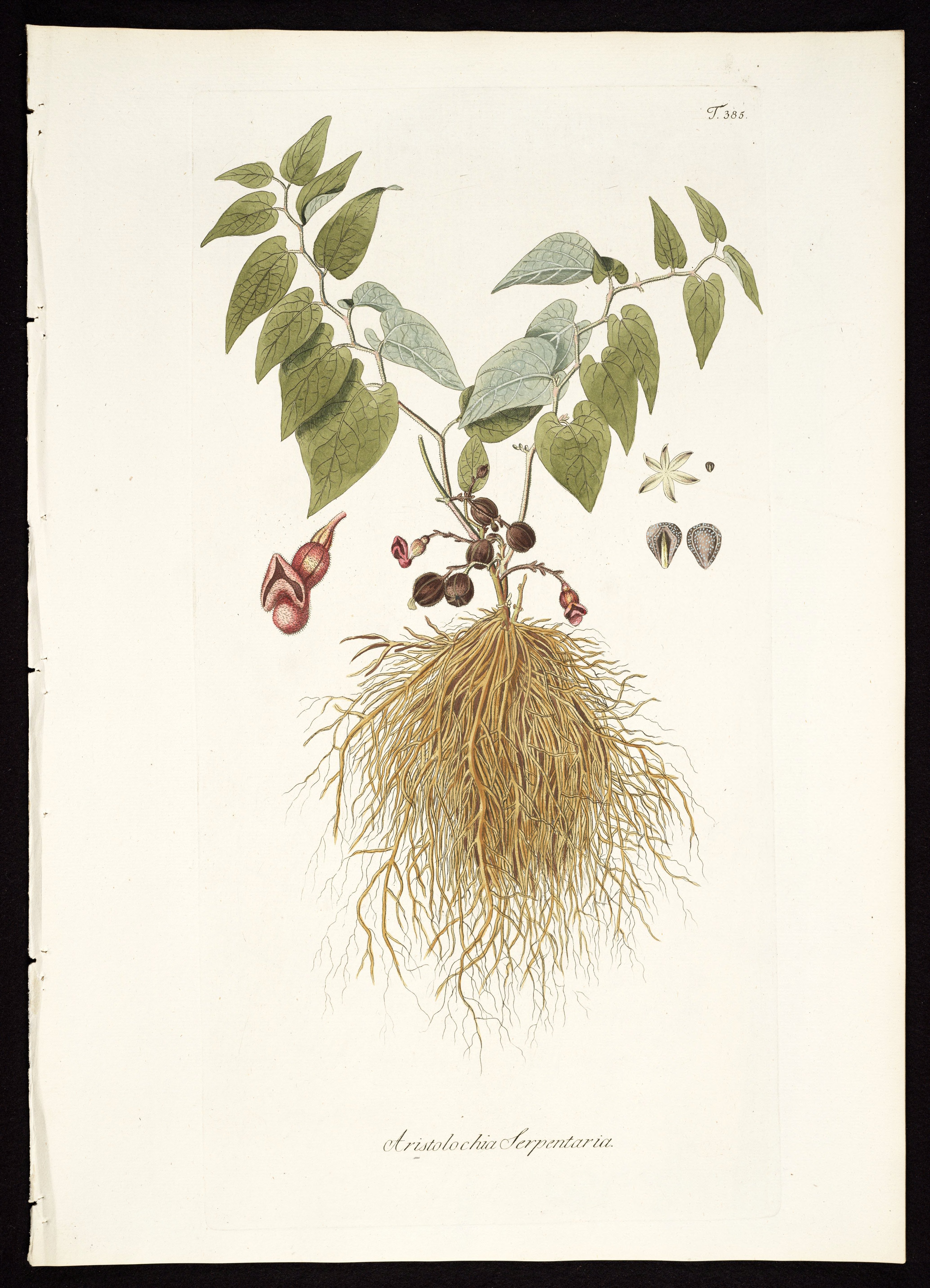 no full size  illustration available (3a)