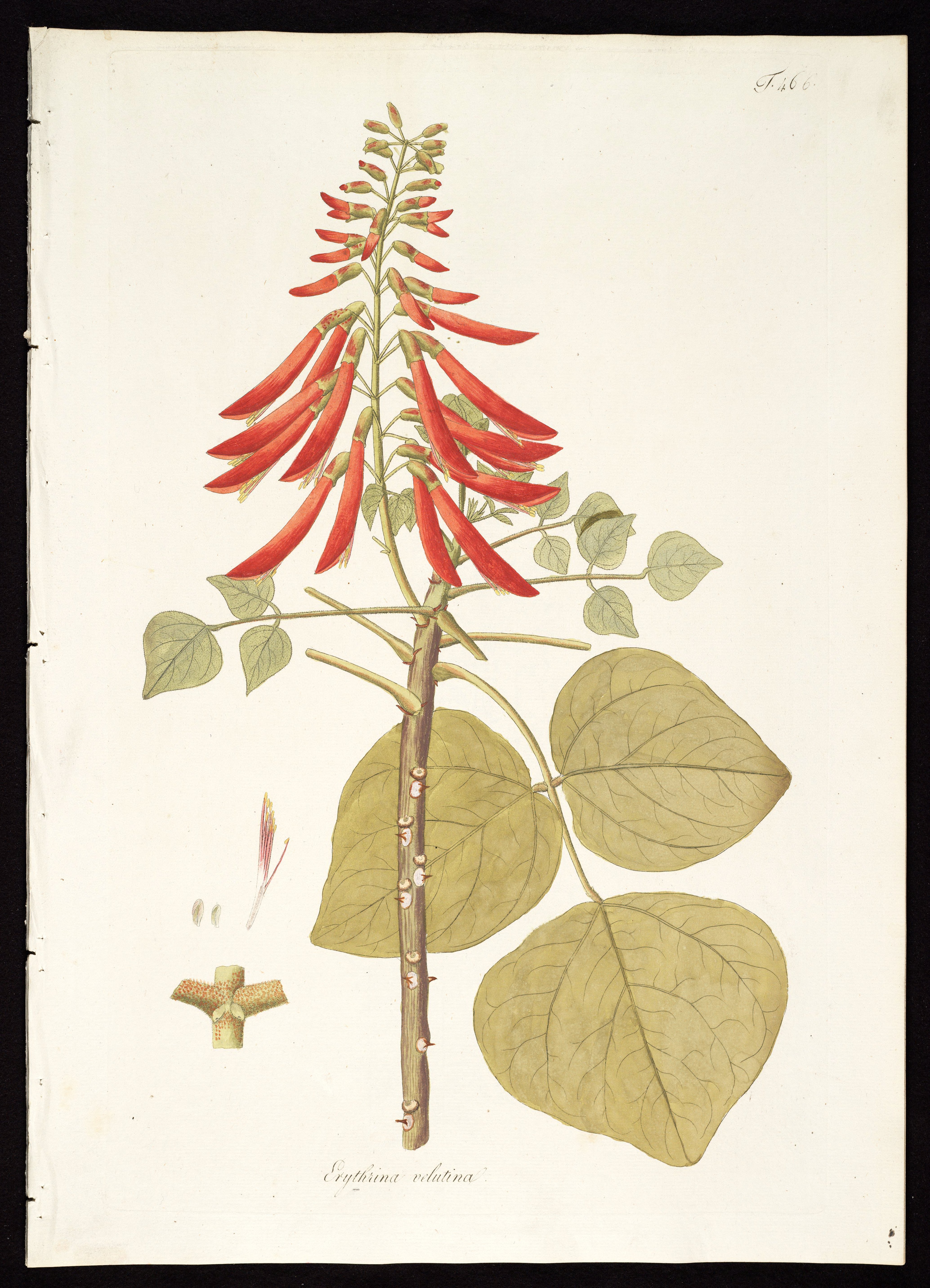 no full size  illustration available (3a)