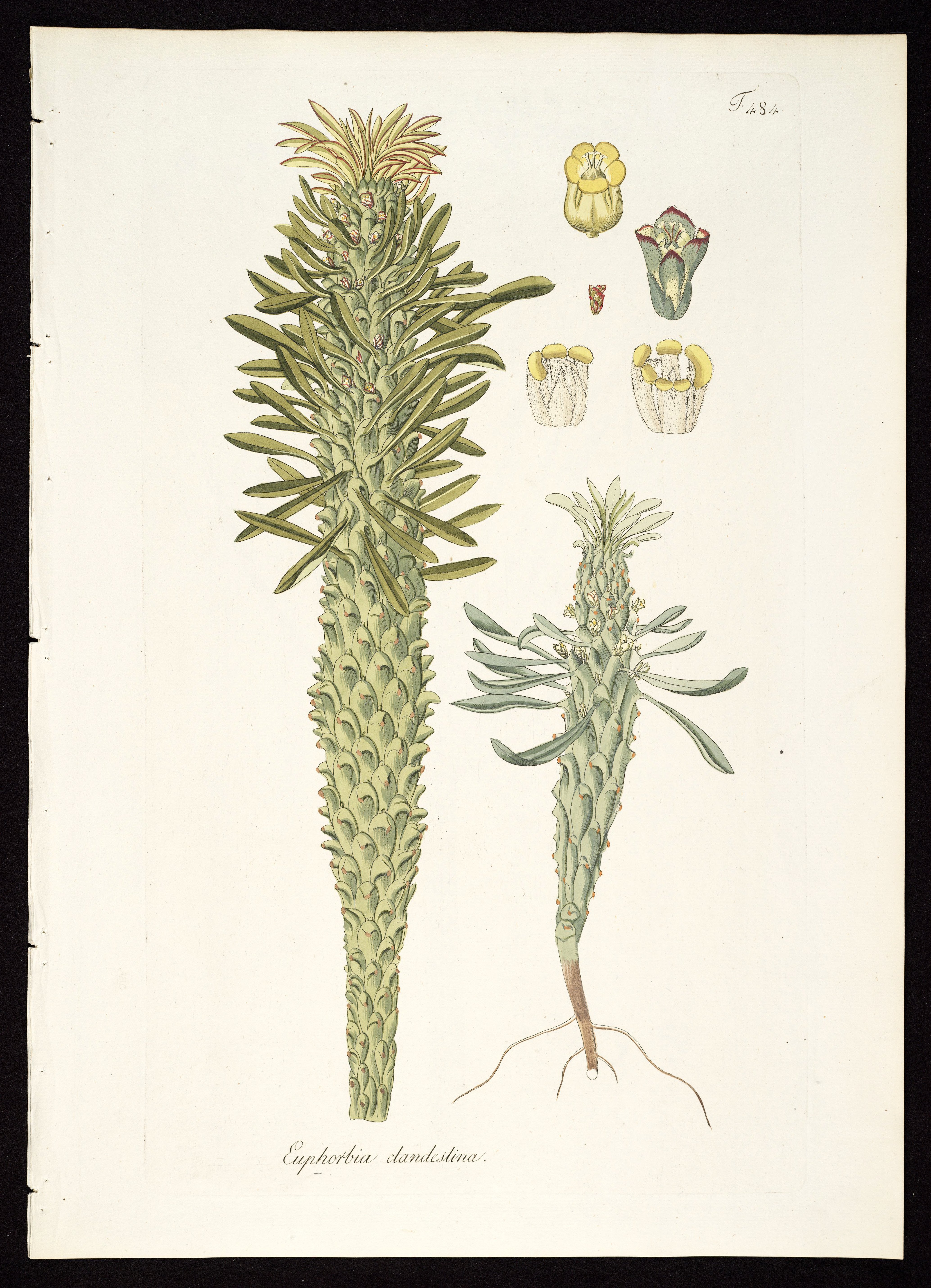 no full size  illustration available (3a)