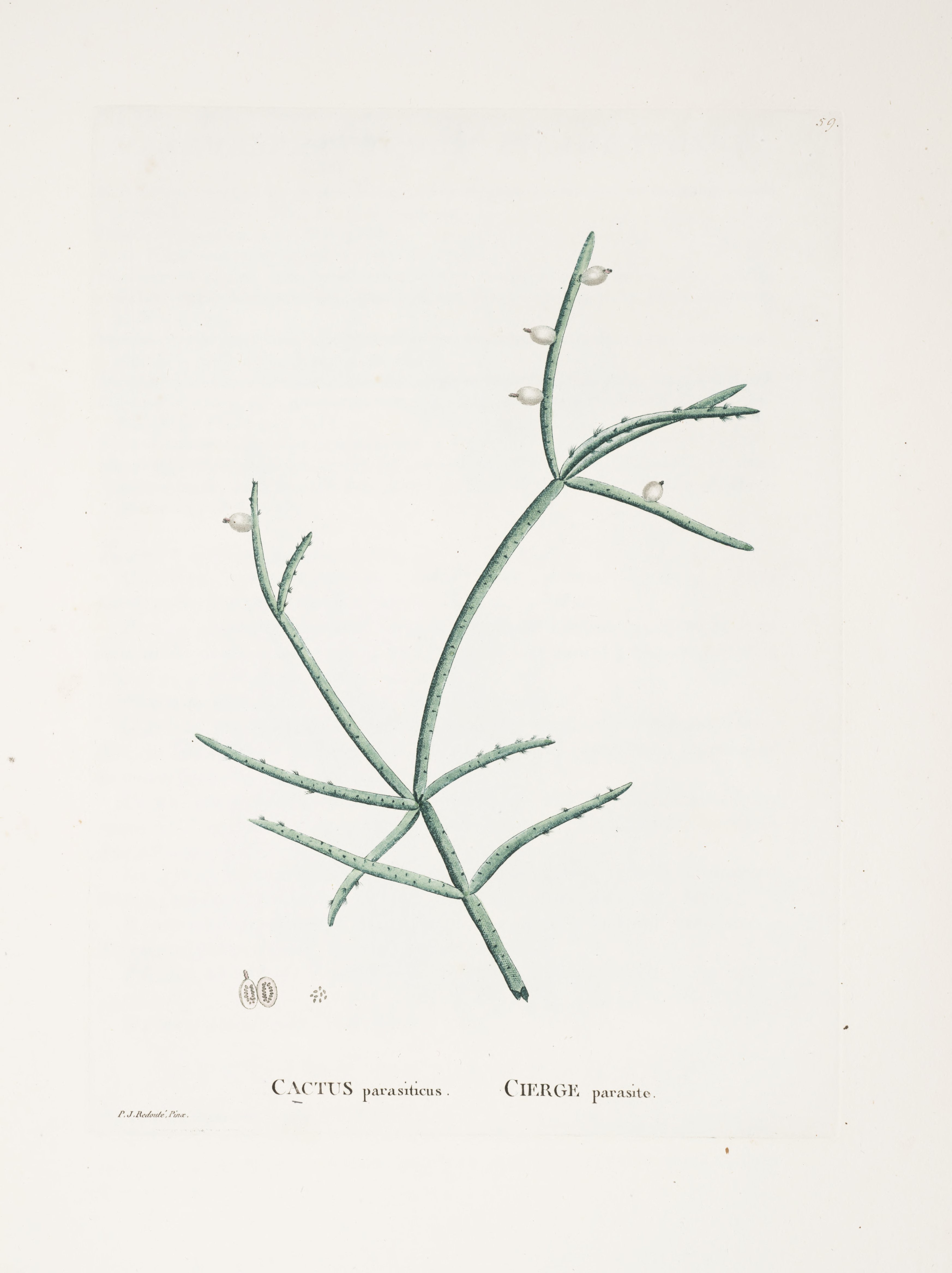 no full size  illustration available (3a)