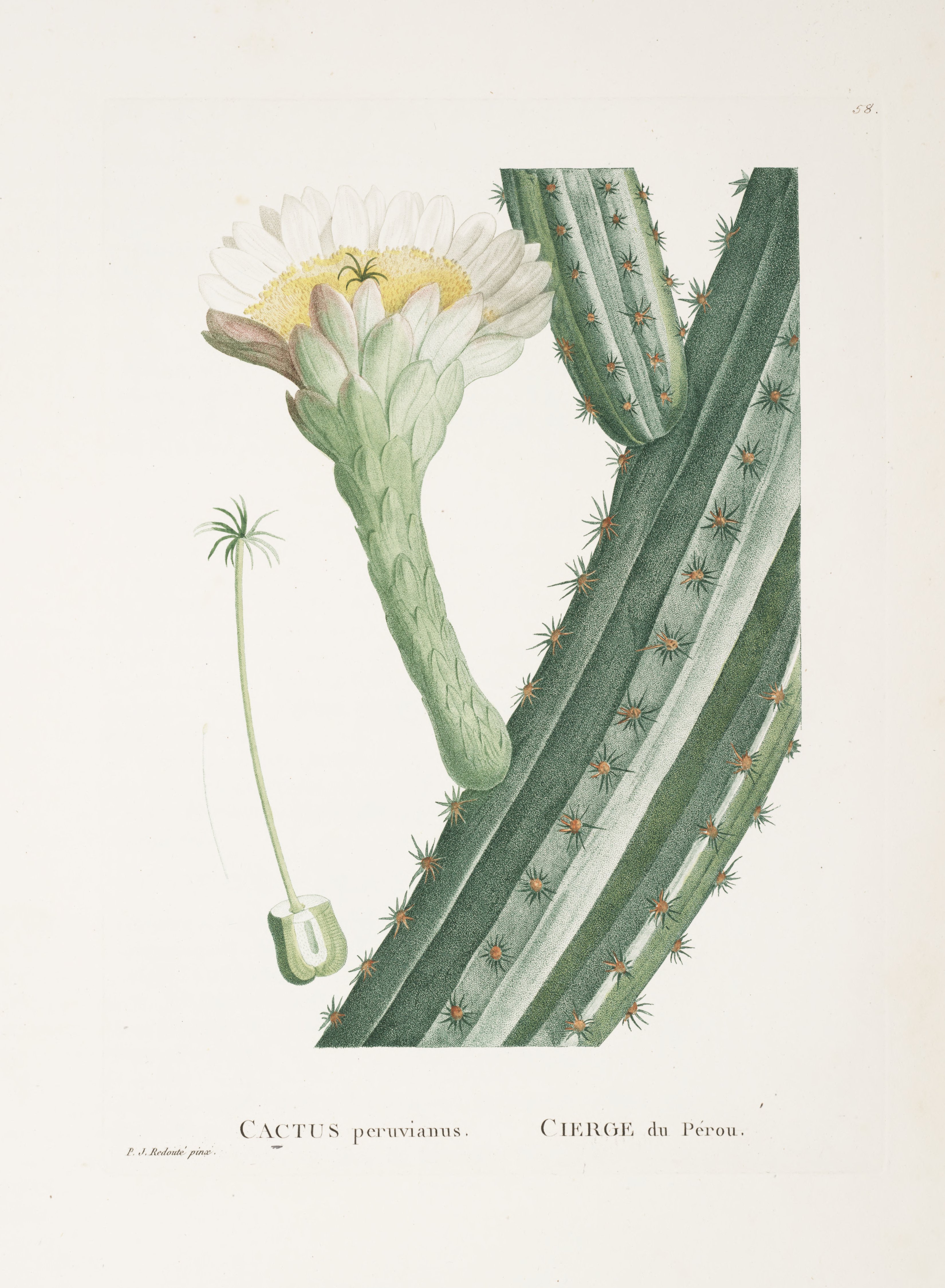 no full size  illustration available (3a)