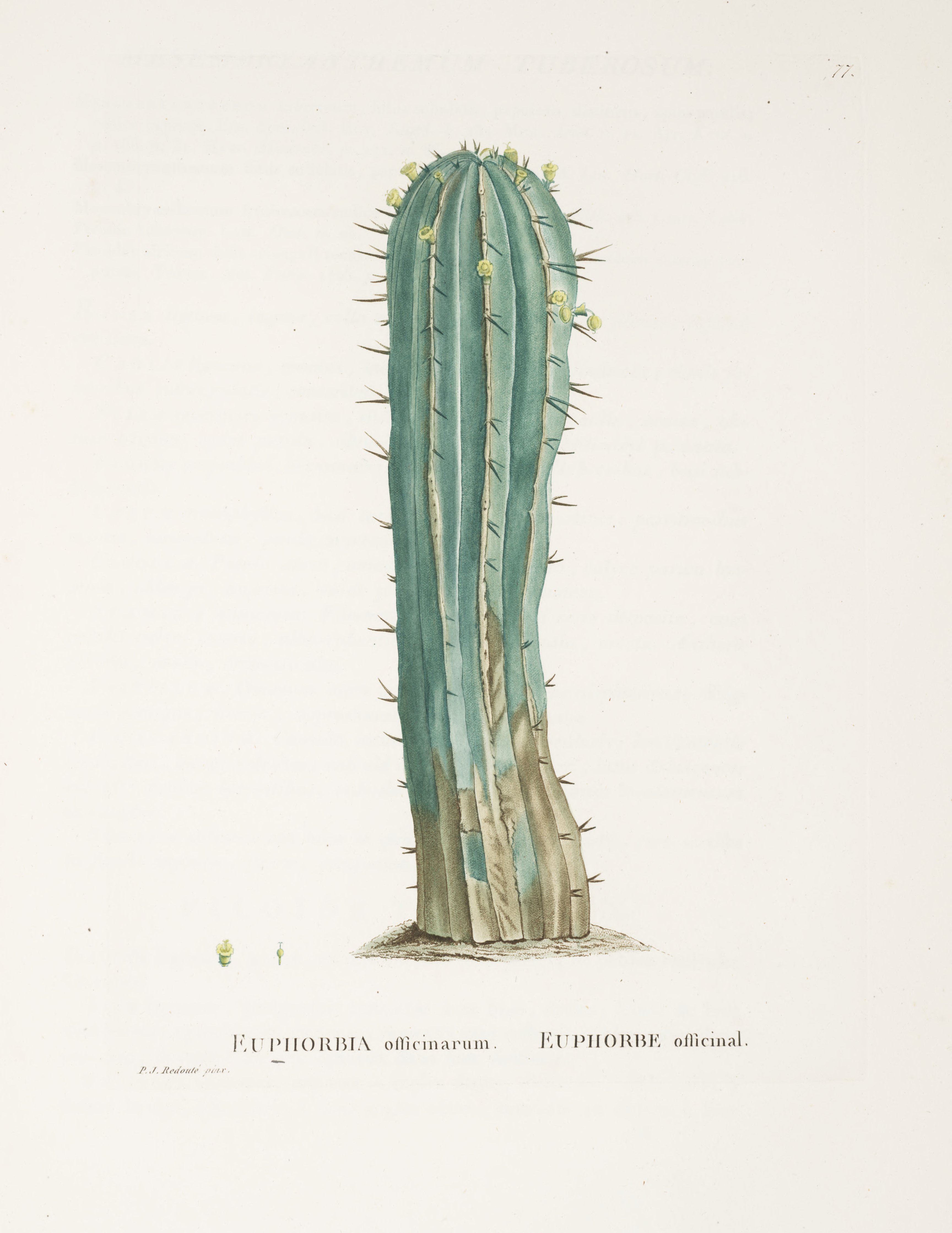 no full size  illustration available (3a)