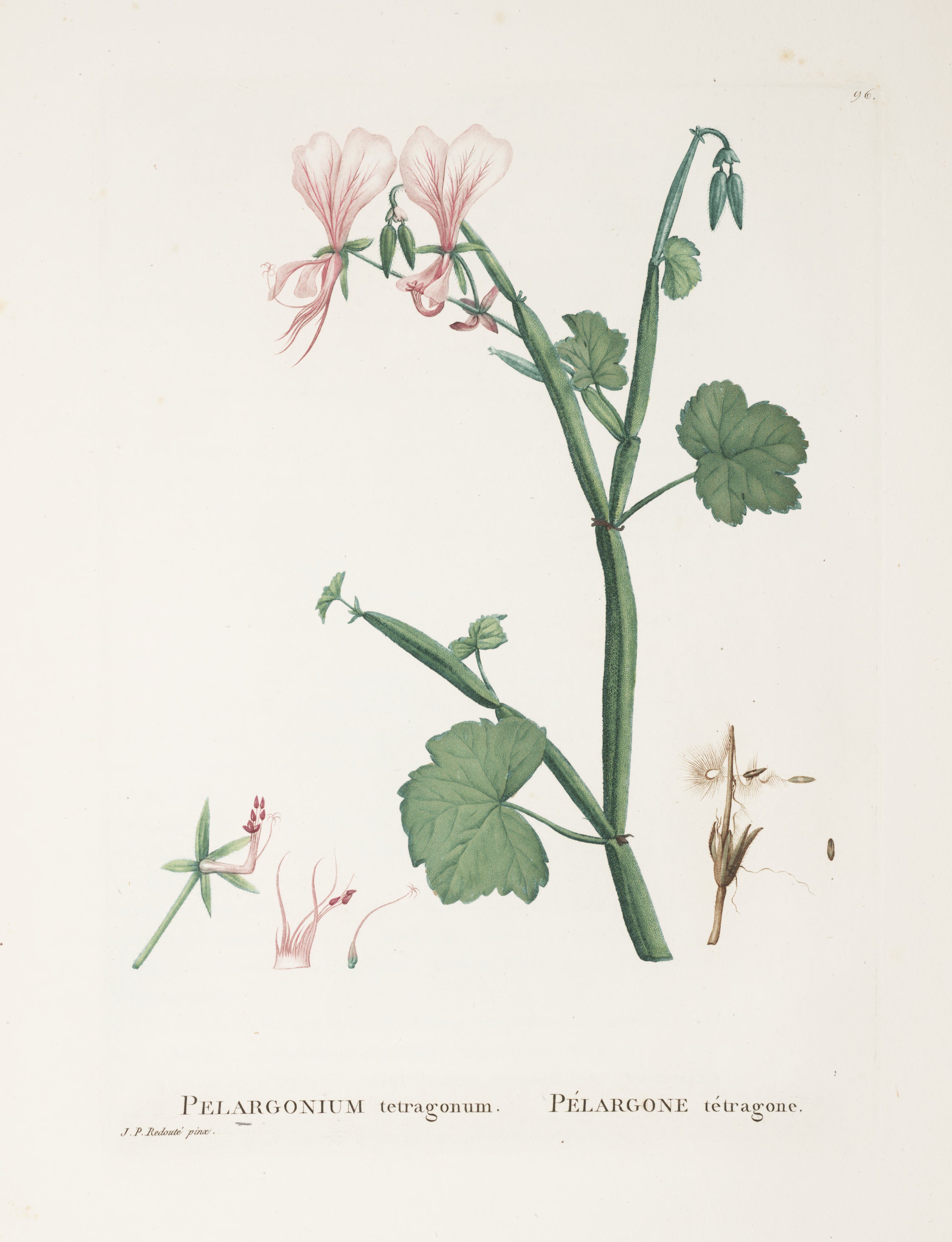 no full size  illustration available (3a)