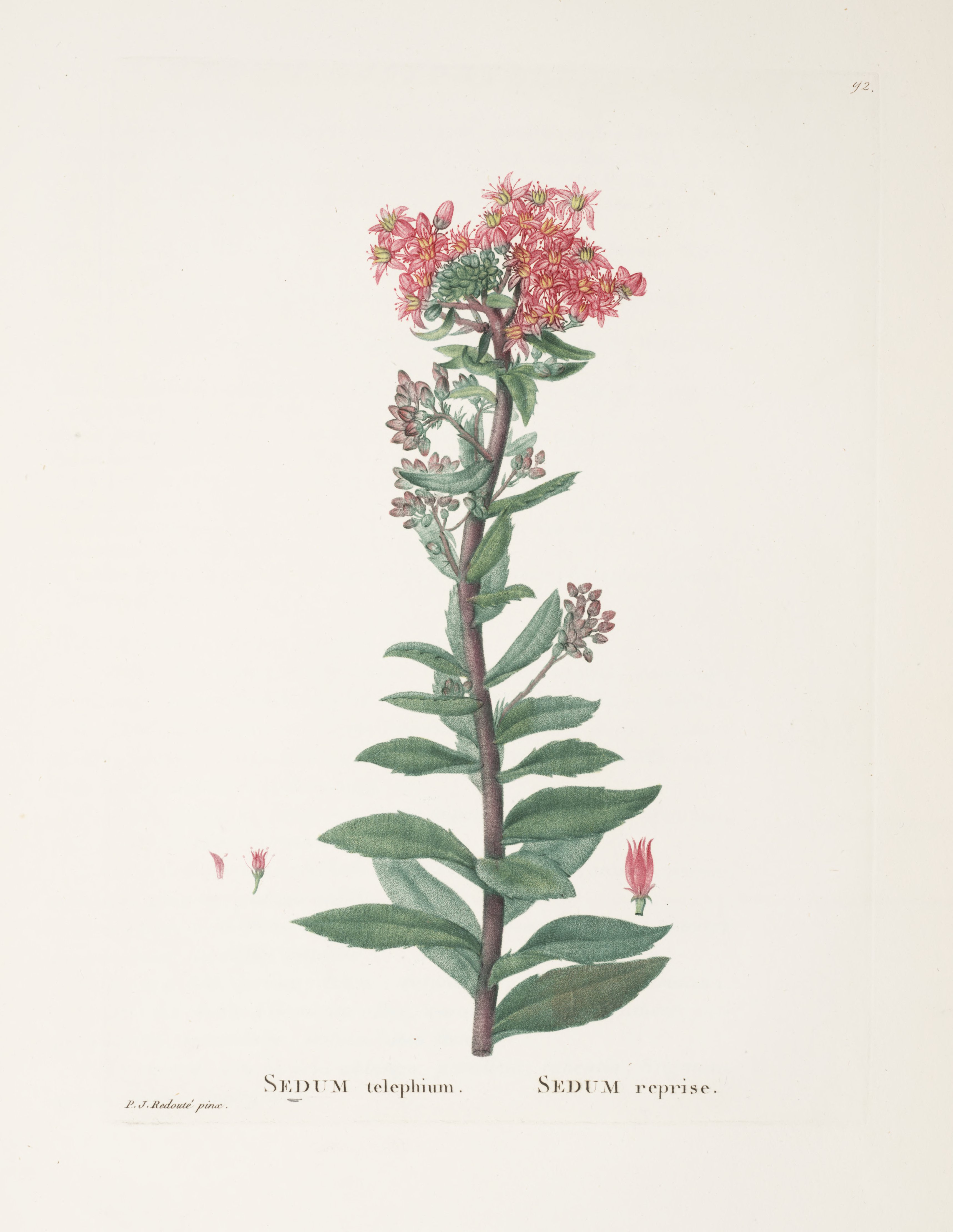 no full size  illustration available (3a)