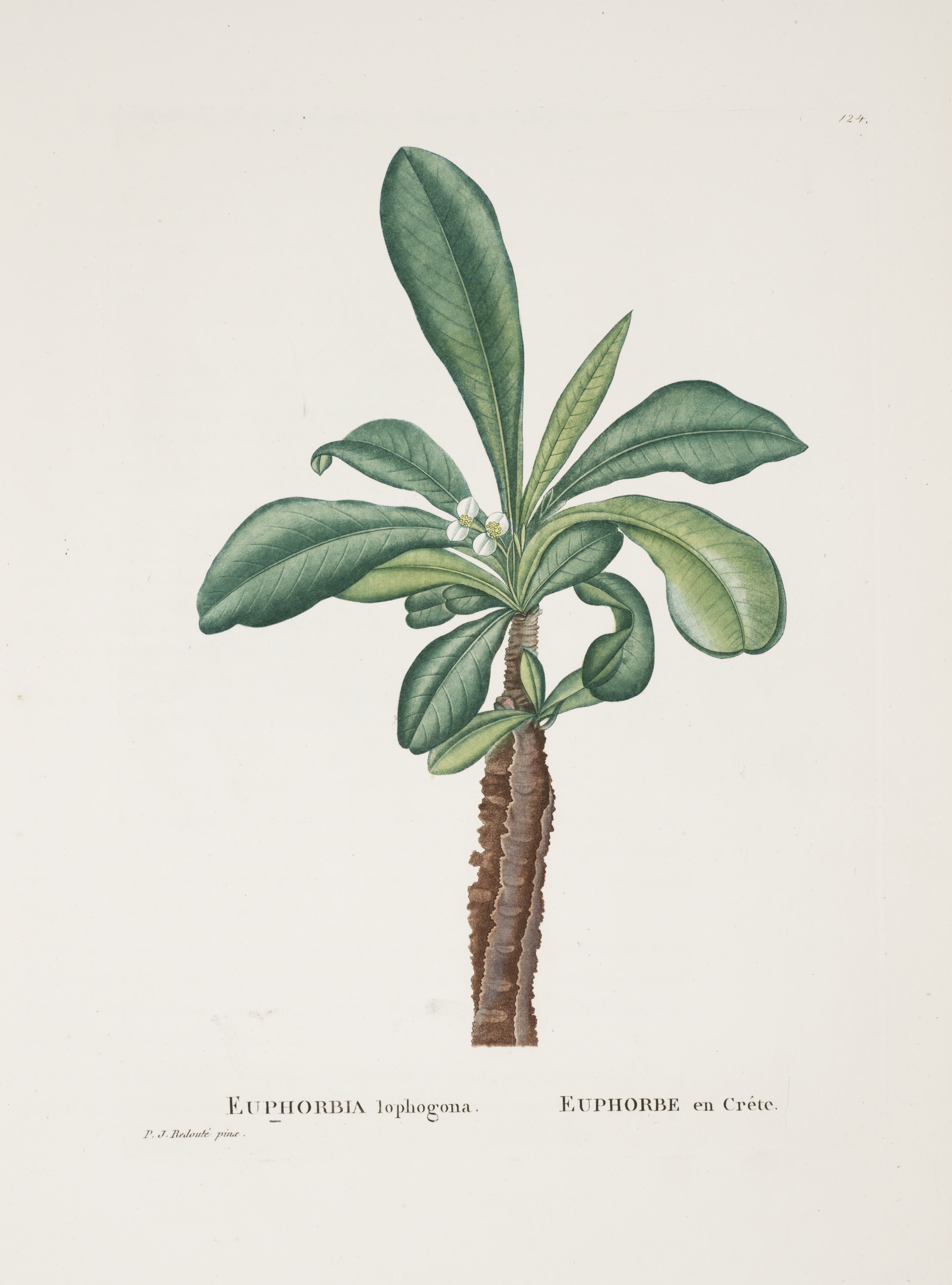 no full size  illustration available (3a)